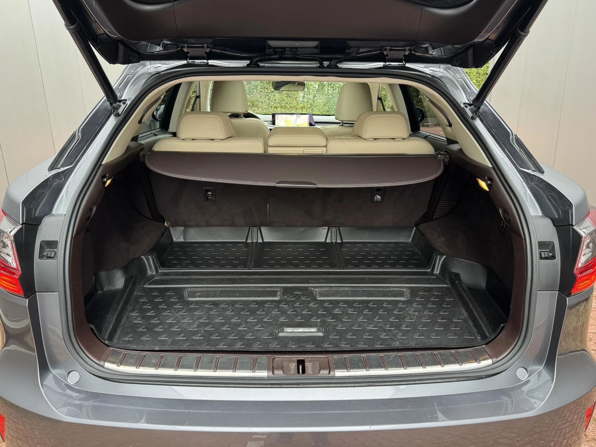 Hoofdafbeelding Lexus RX
