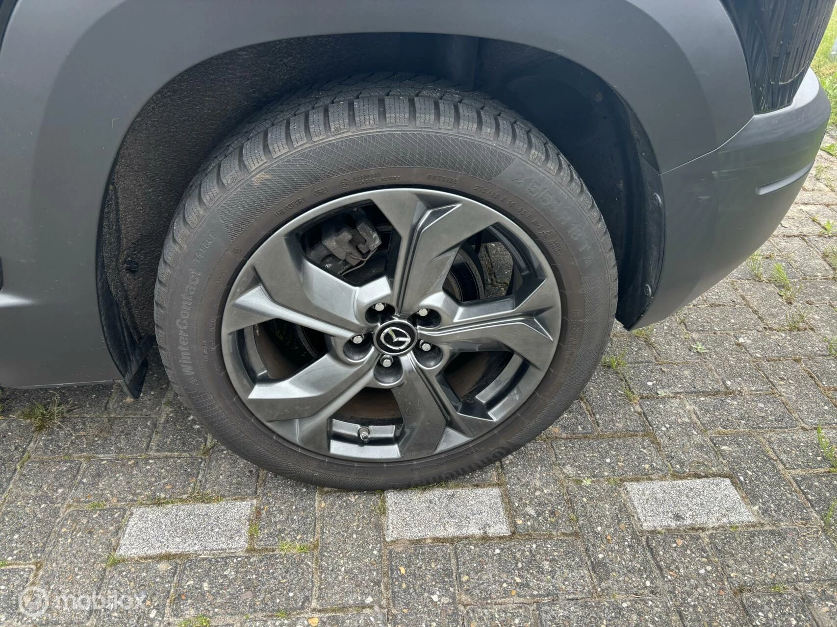 Hoofdafbeelding Mazda MX-30