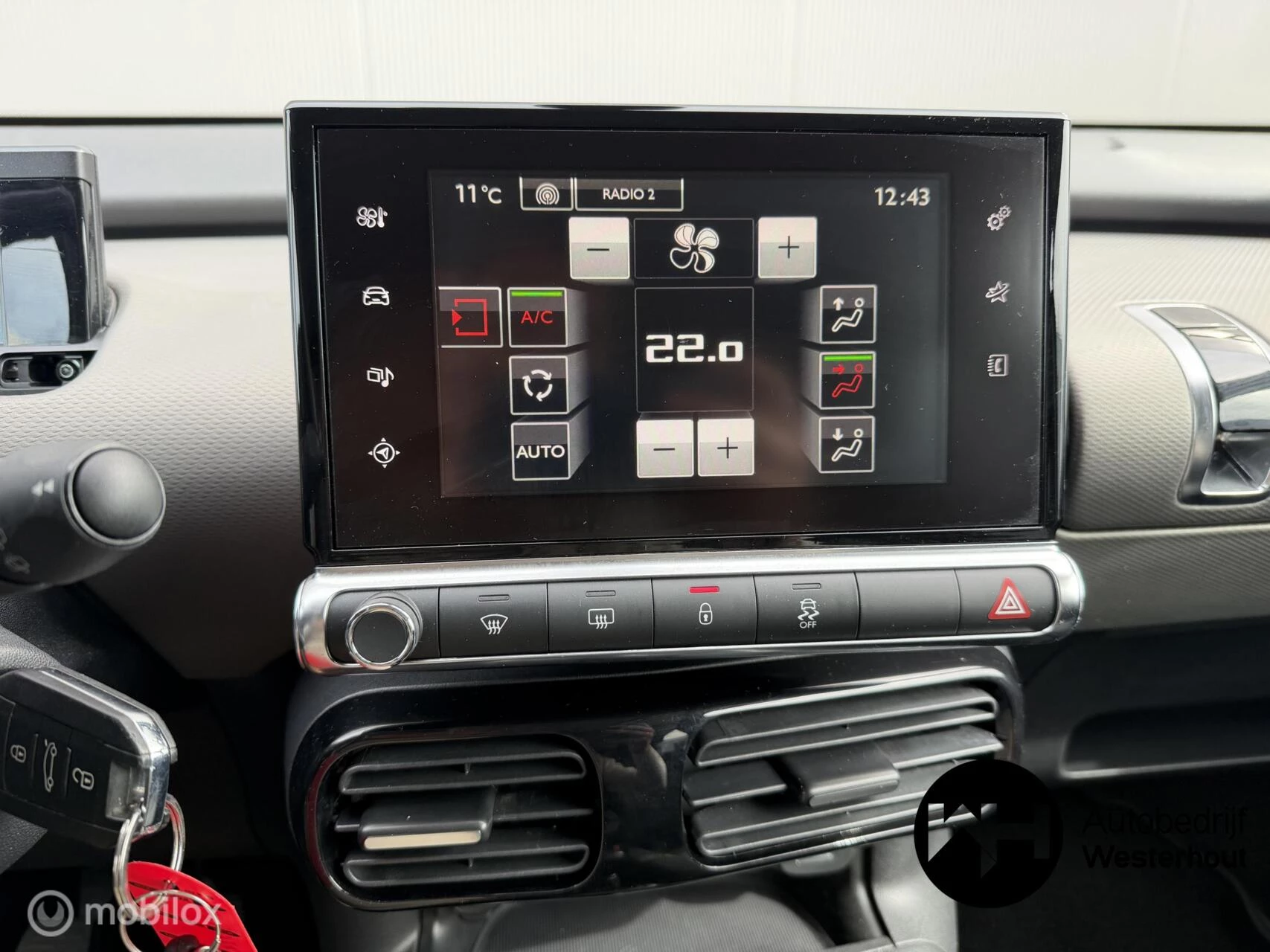 Hoofdafbeelding Citroën C4 Cactus