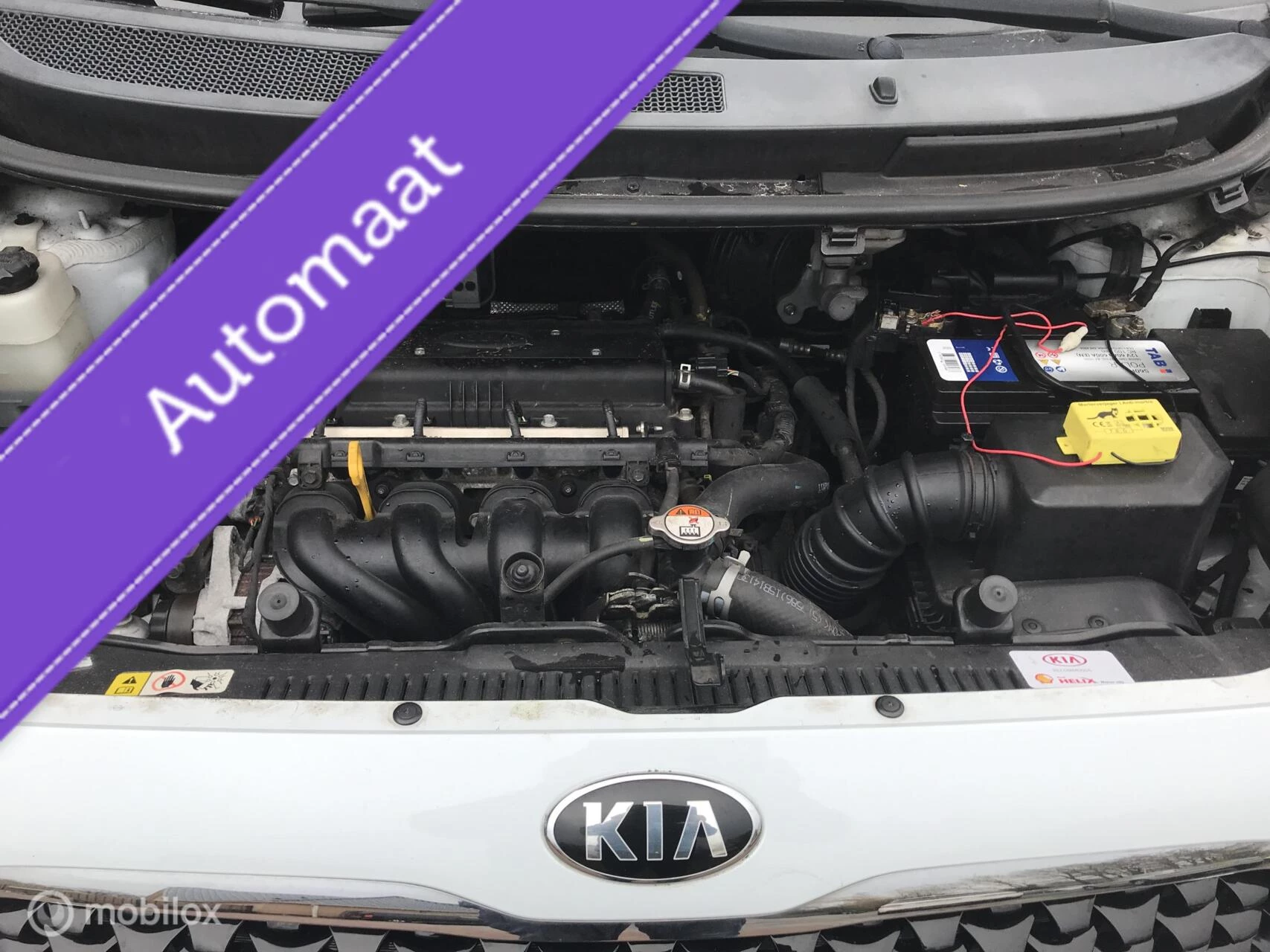 Hoofdafbeelding Kia Venga