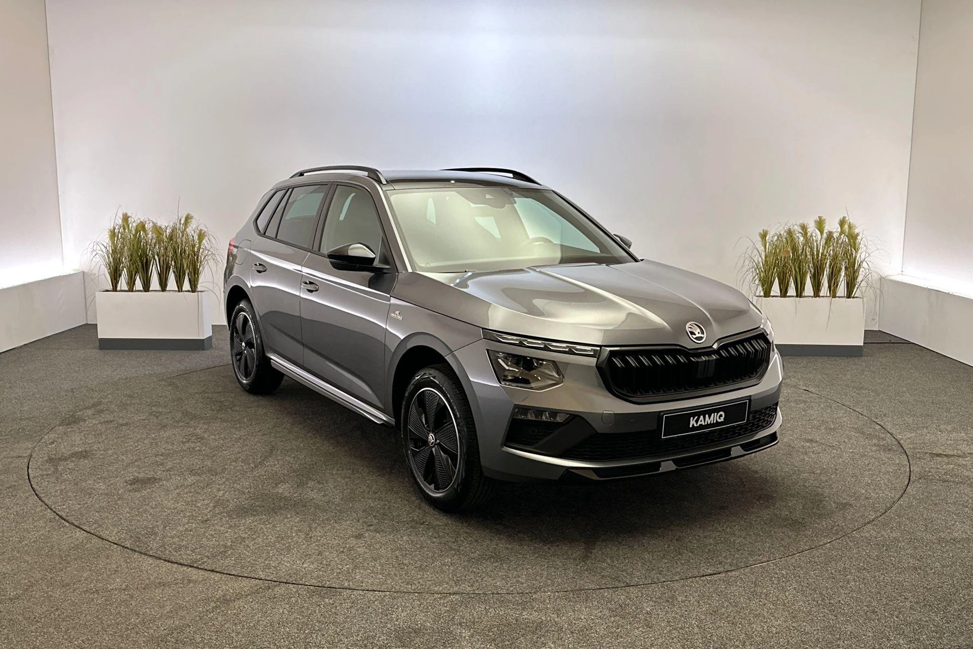 Hoofdafbeelding Škoda Kamiq