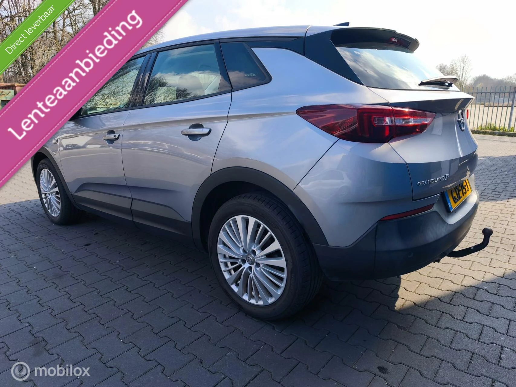 Hoofdafbeelding Opel Grandland X