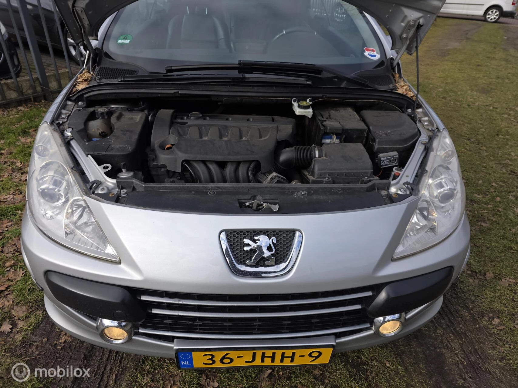 Hoofdafbeelding Peugeot 307