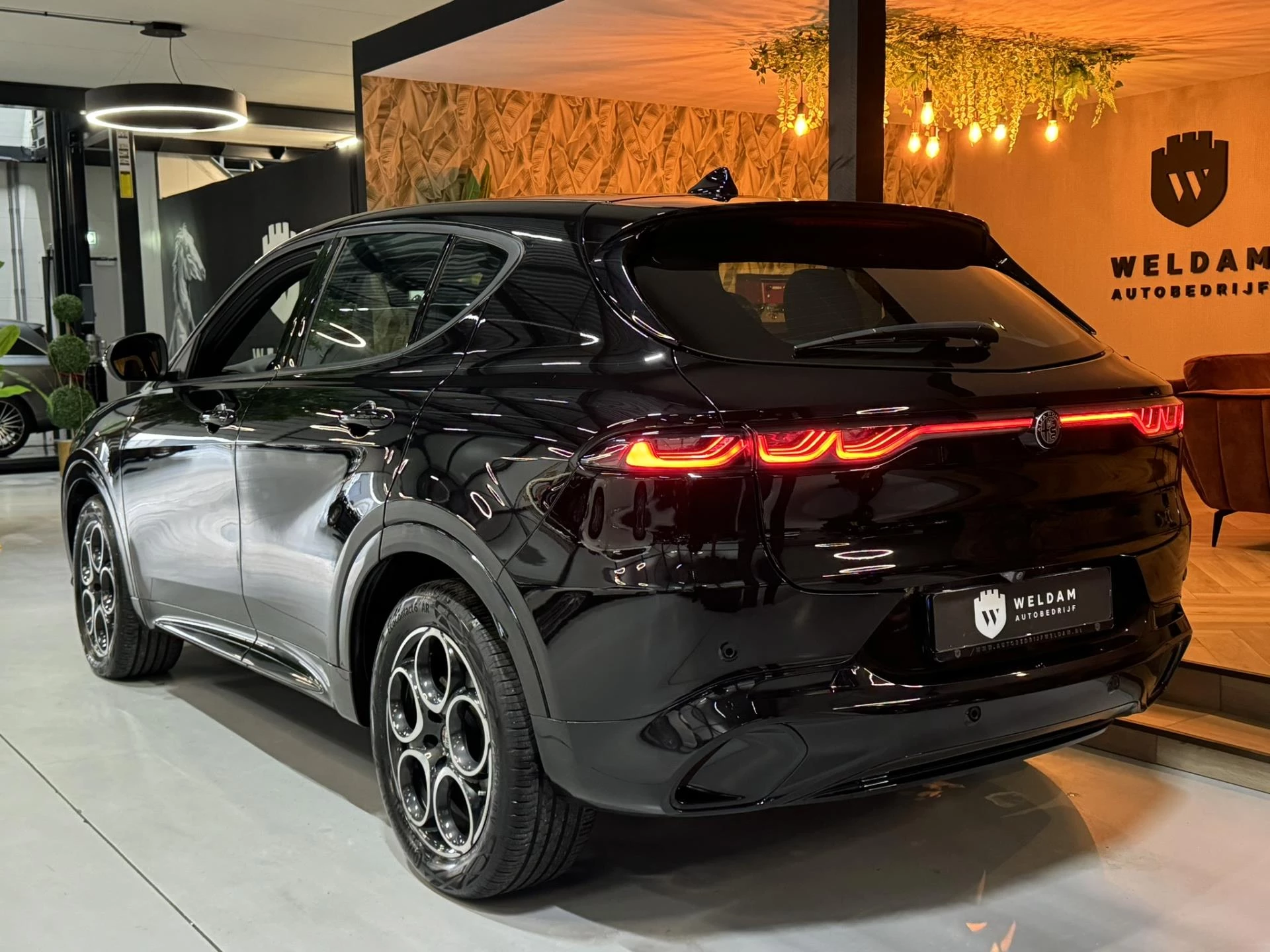 Hoofdafbeelding Alfa Romeo Tonale