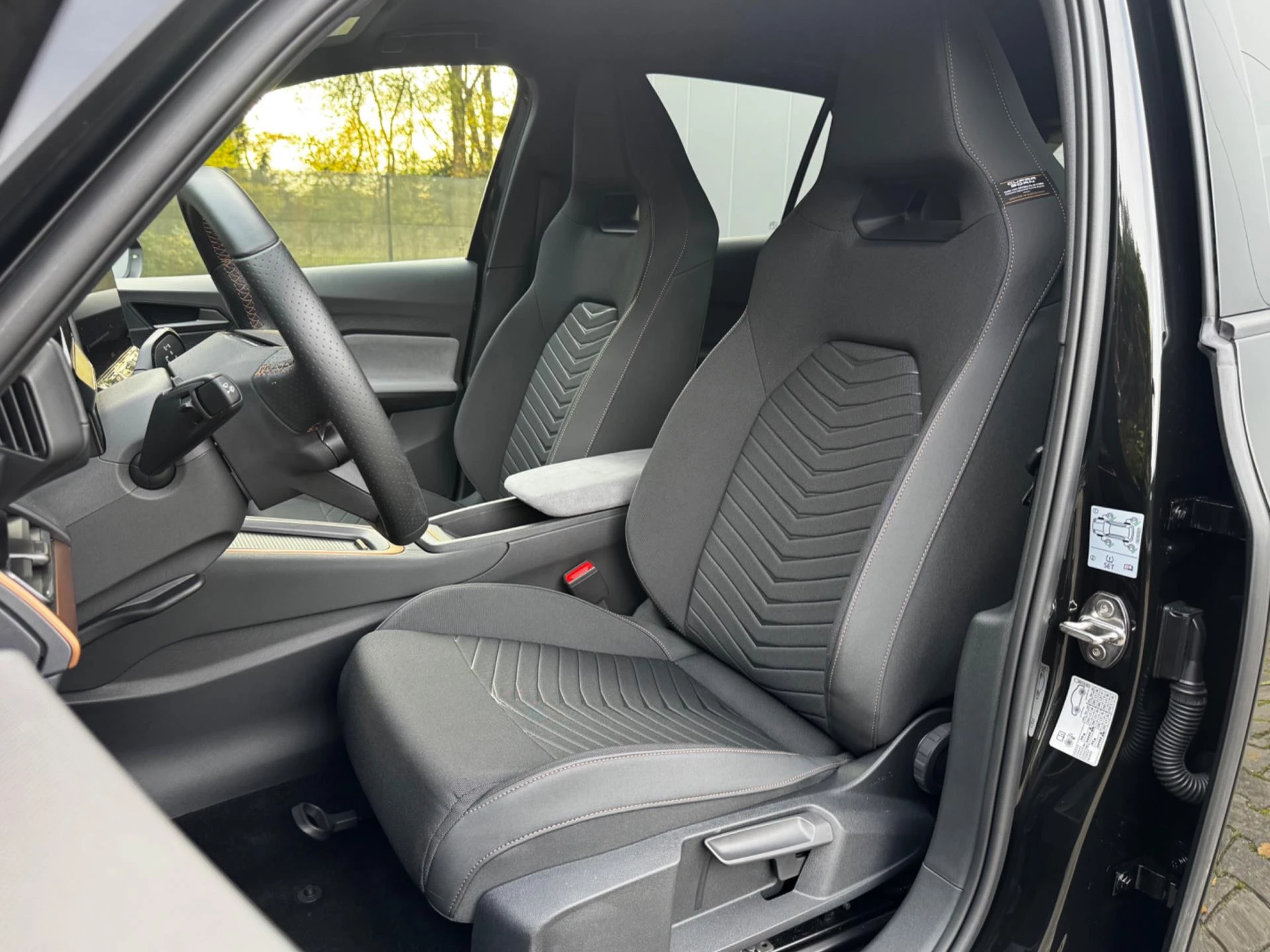 Hoofdafbeelding CUPRA Born