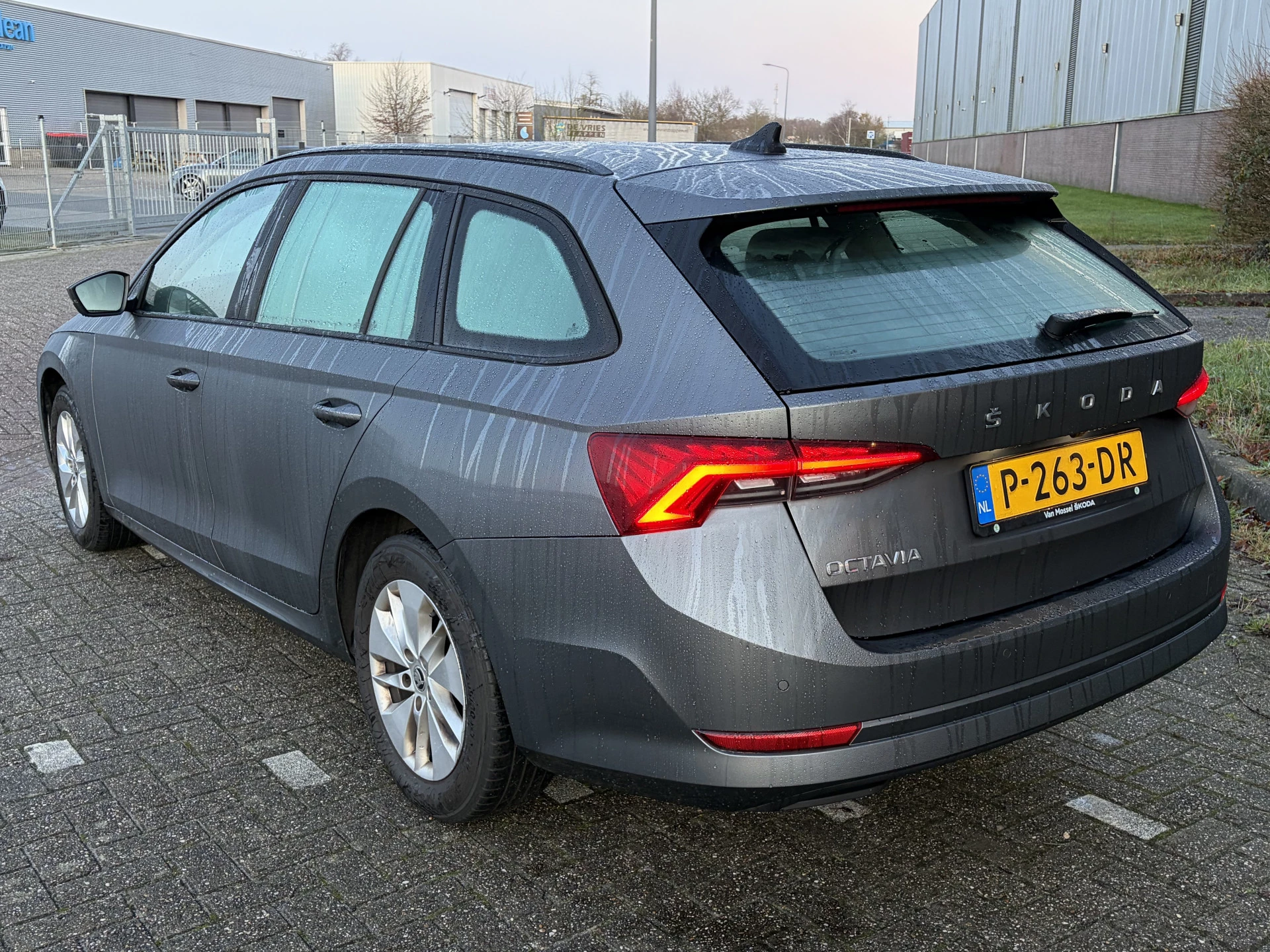Hoofdafbeelding Škoda Octavia