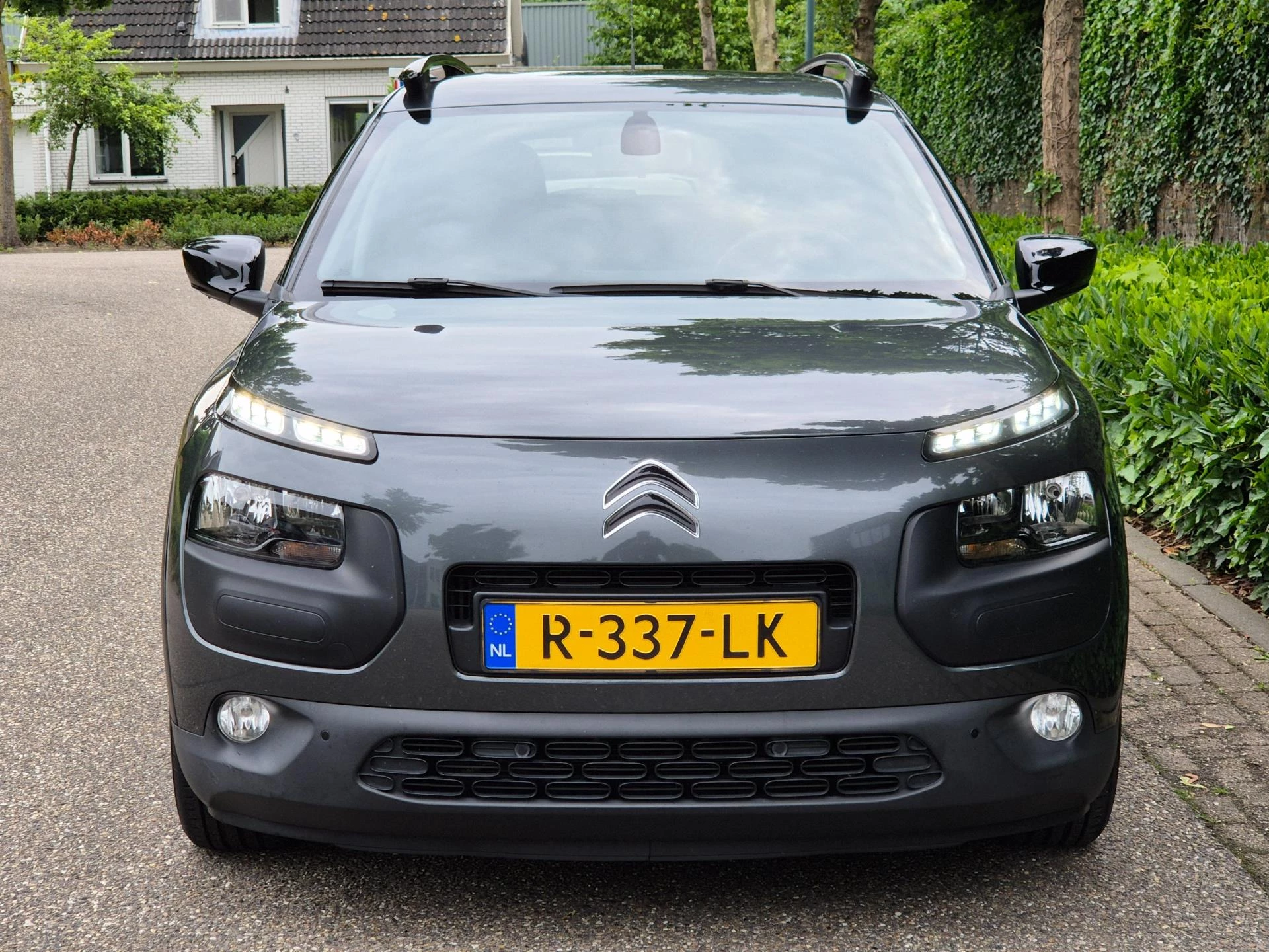 Hoofdafbeelding Citroën C4 Cactus