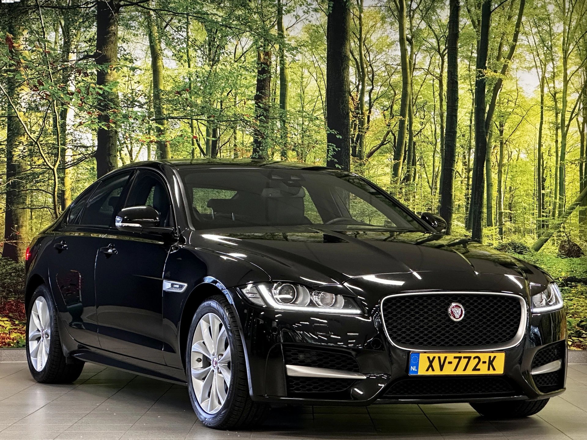 Hoofdafbeelding Jaguar XF