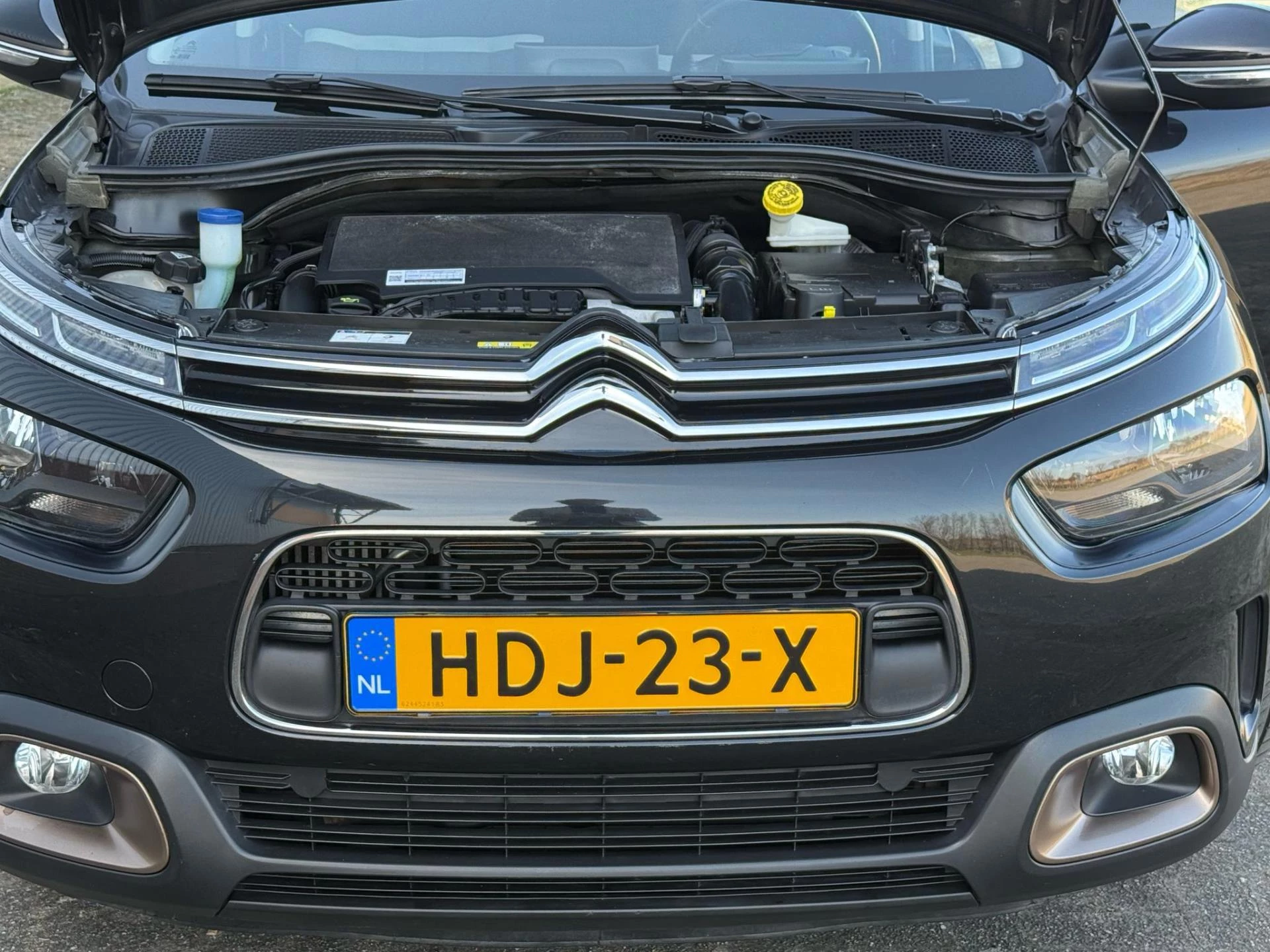Hoofdafbeelding Citroën C4 Cactus