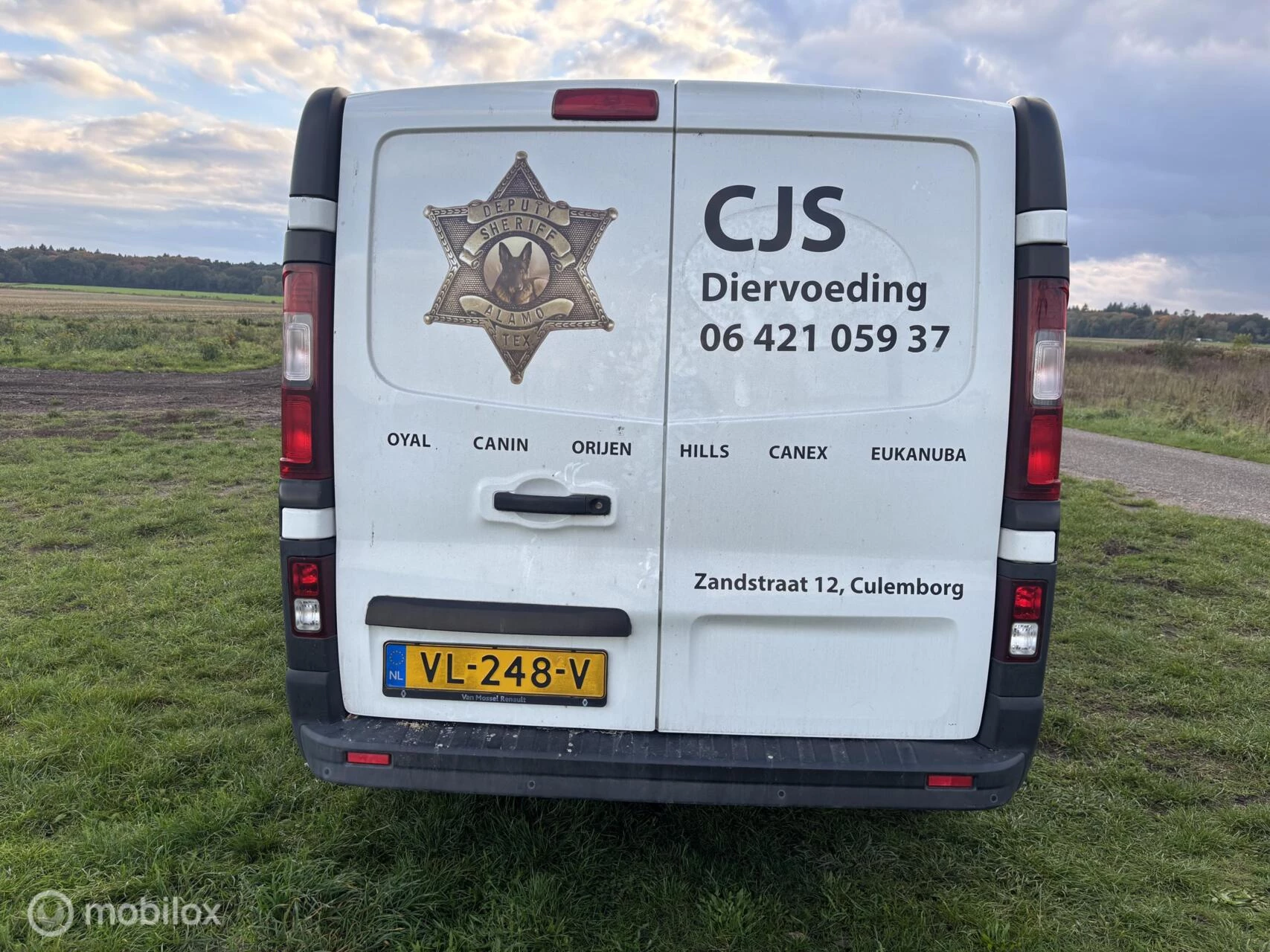 Hoofdafbeelding Renault Trafic