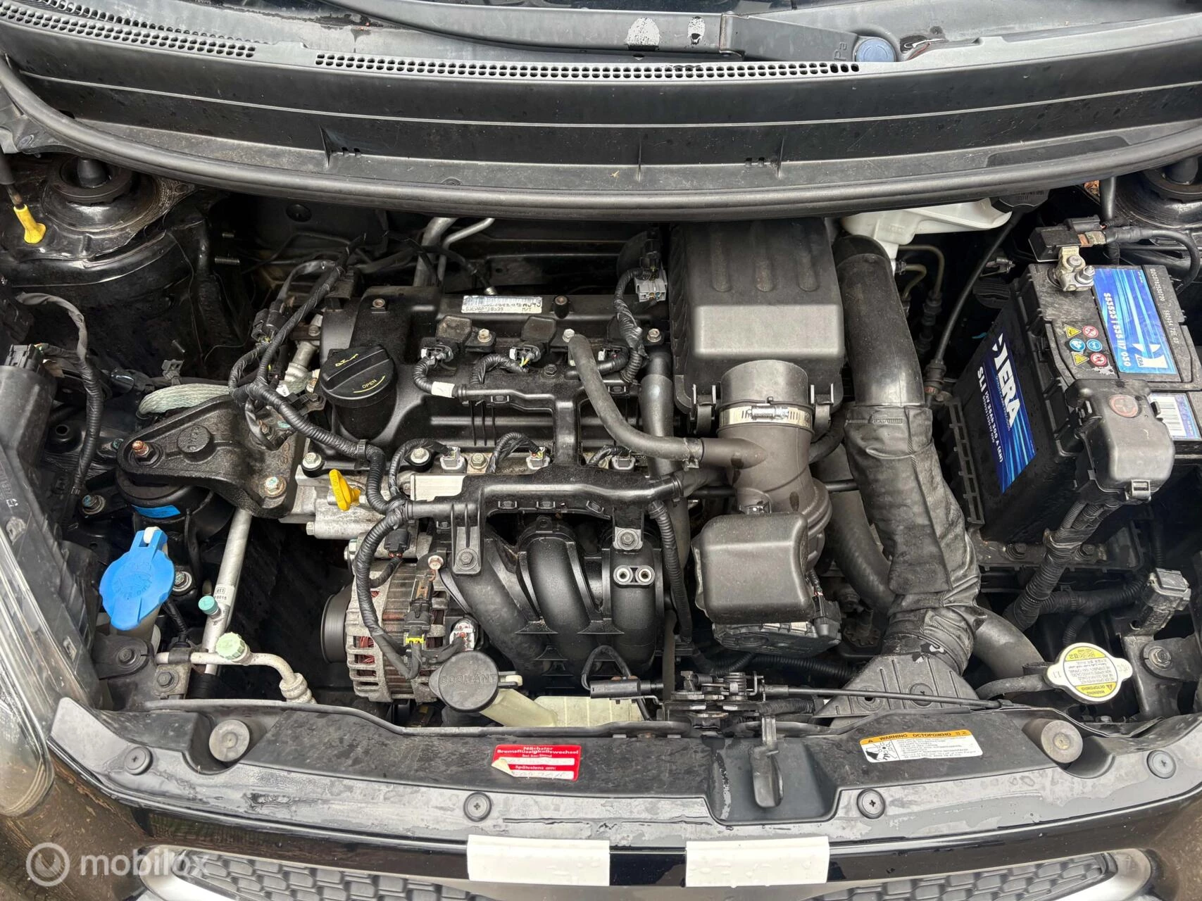 Hoofdafbeelding Kia Picanto