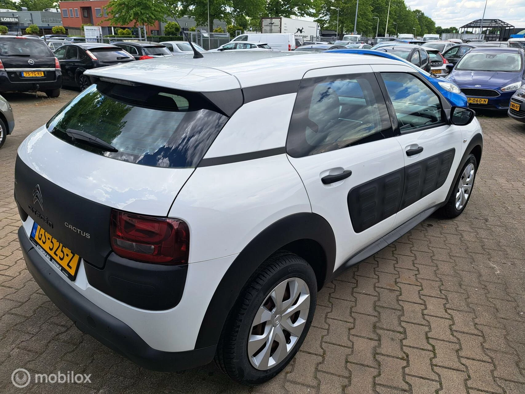 Hoofdafbeelding Citroën C4 Cactus