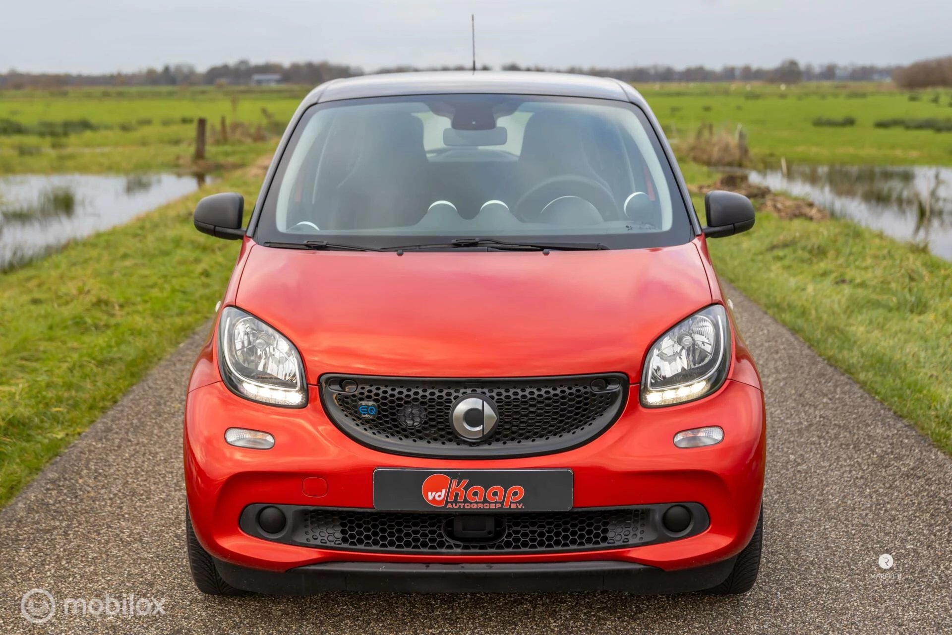 Hoofdafbeelding Smart Forfour