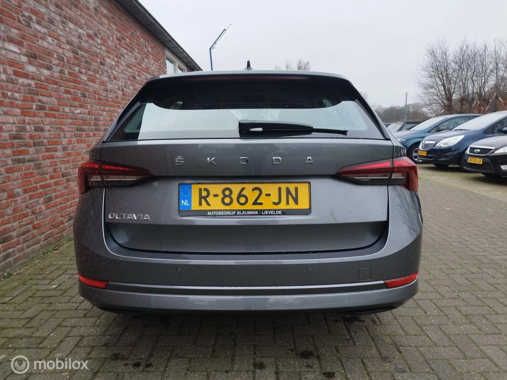 Hoofdafbeelding Škoda Octavia