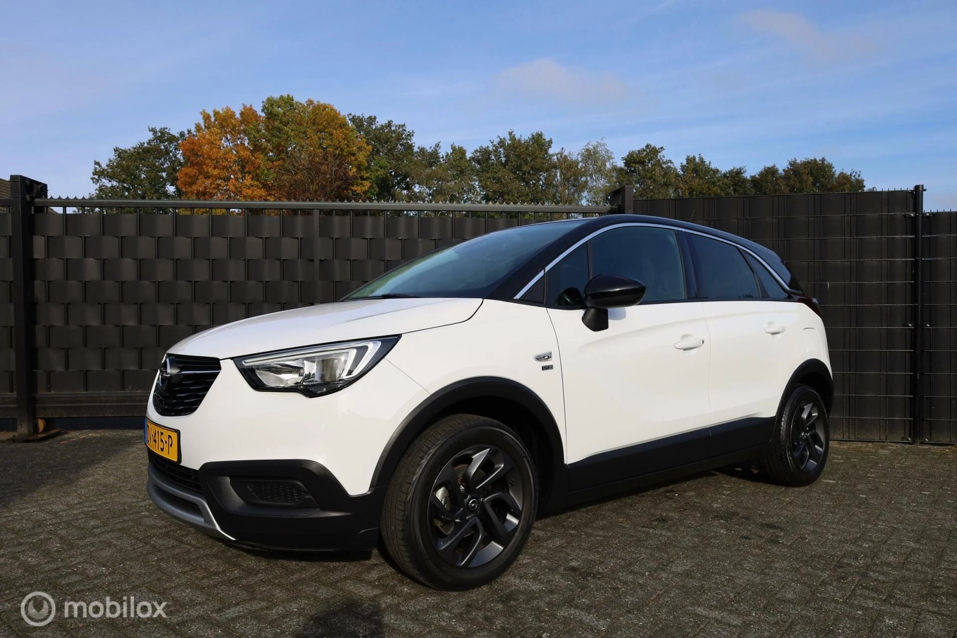 Hoofdafbeelding Opel Crossland X