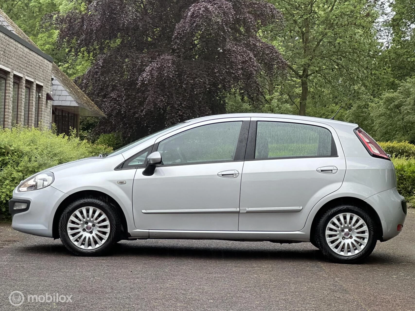Hoofdafbeelding Fiat Punto