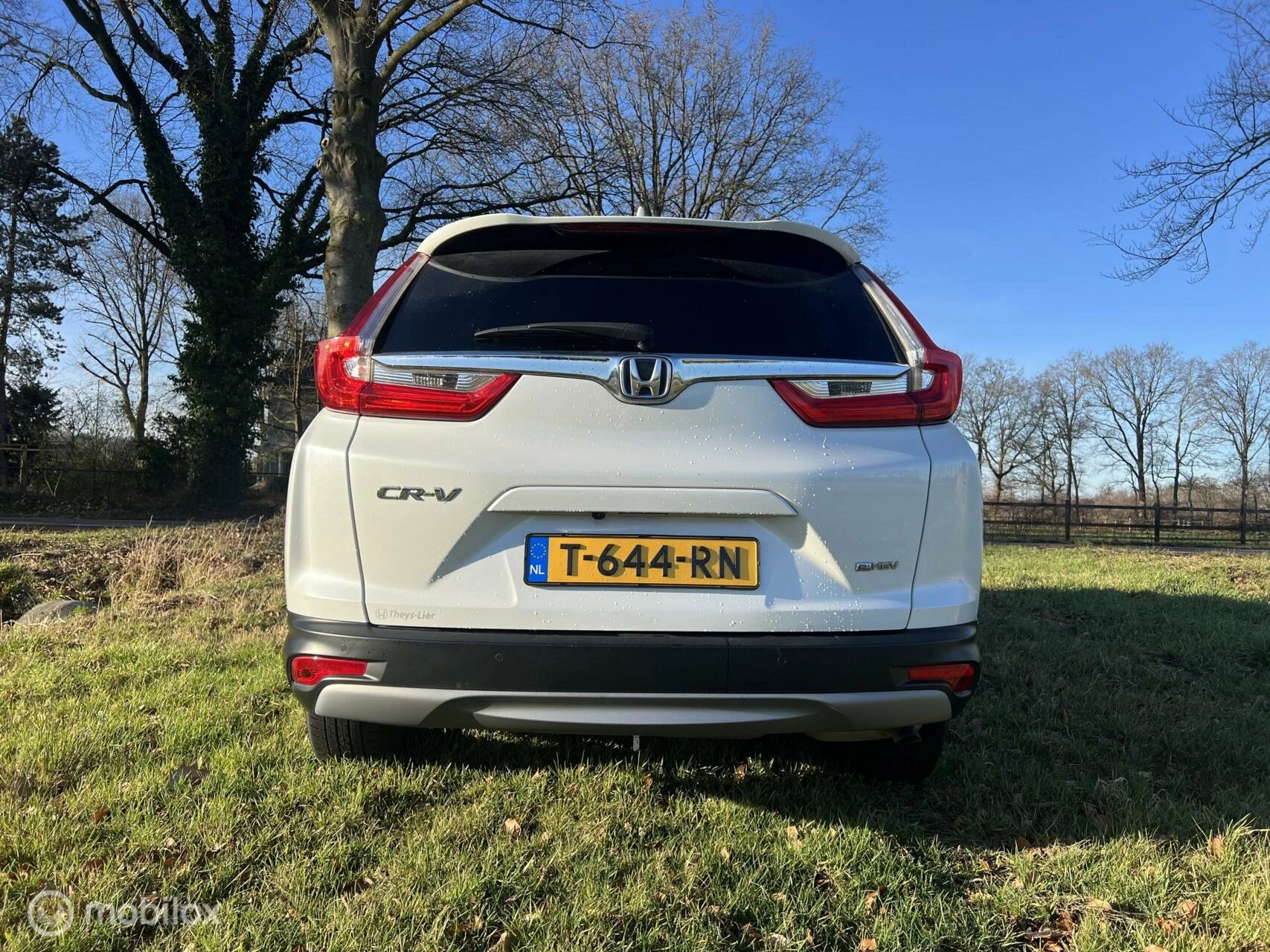 Hoofdafbeelding Honda CR-V