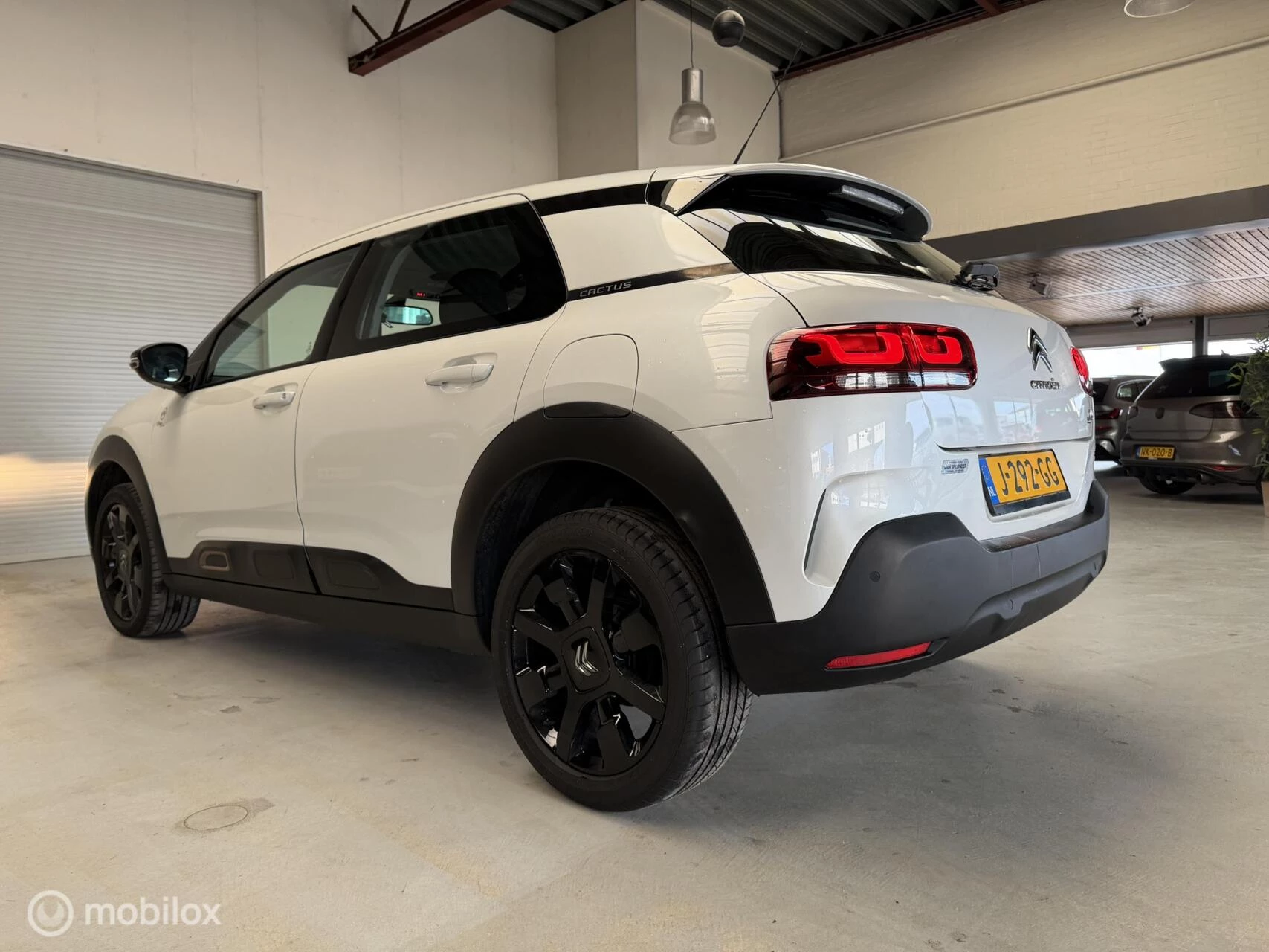 Hoofdafbeelding Citroën C4 Cactus