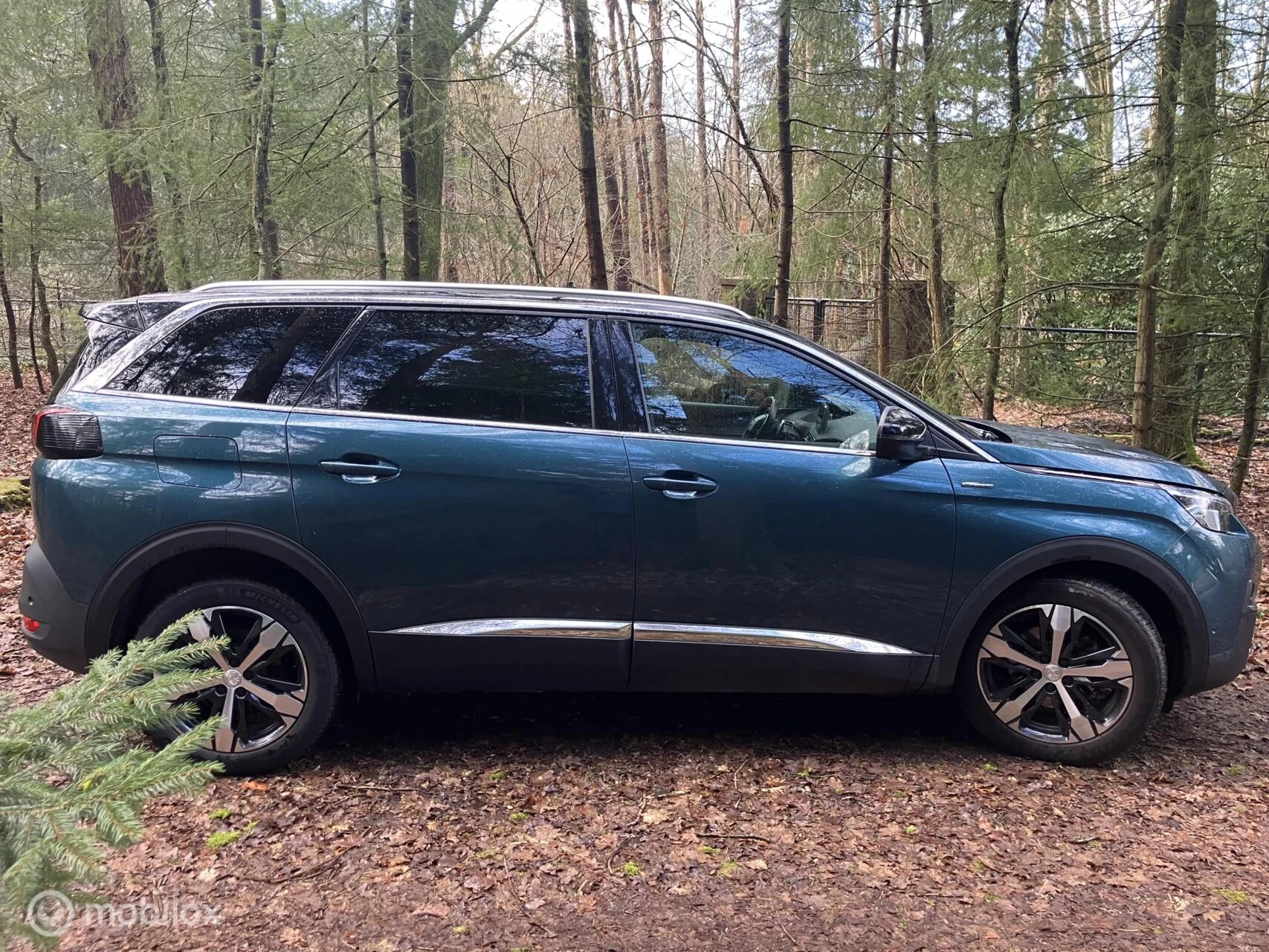 Hoofdafbeelding Peugeot 5008