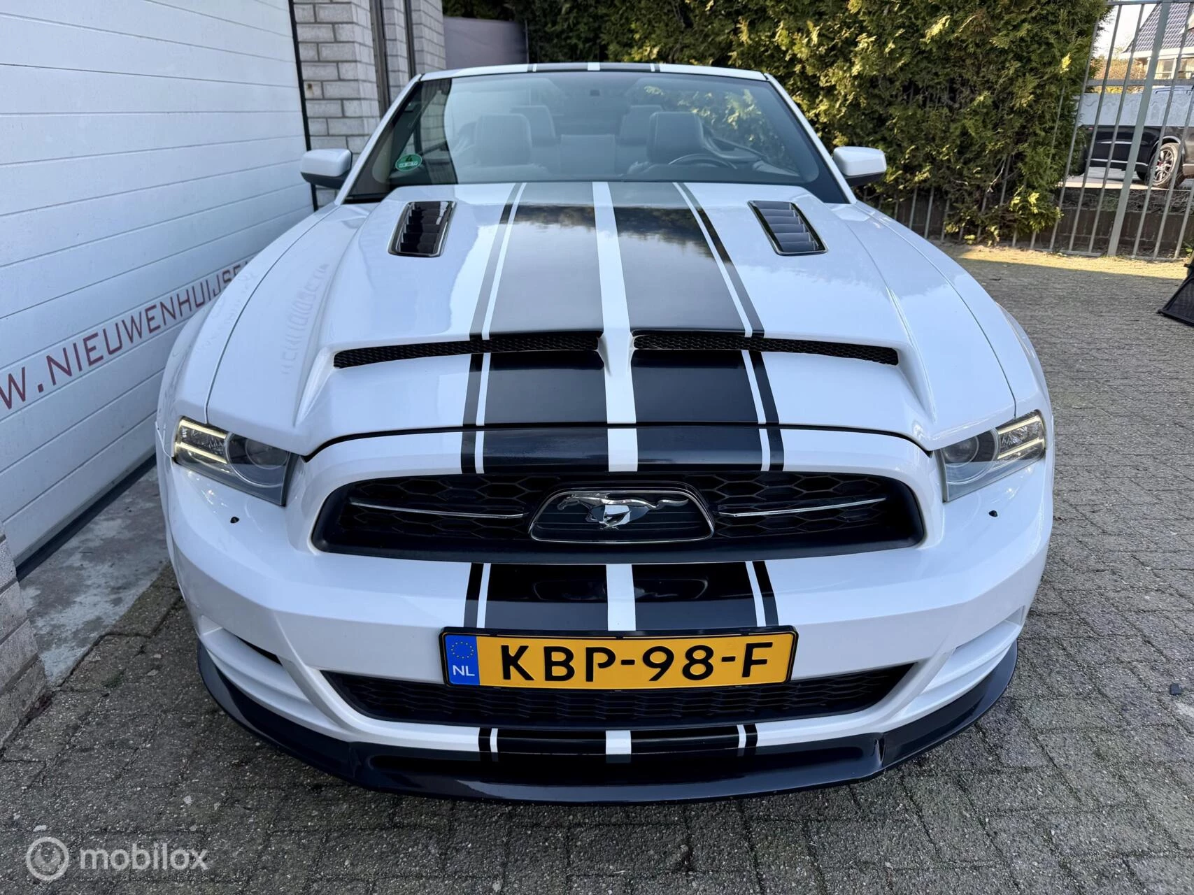 Hoofdafbeelding Ford Mustang