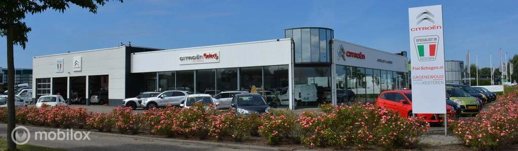 Hoofdafbeelding Citroën C4 Cactus