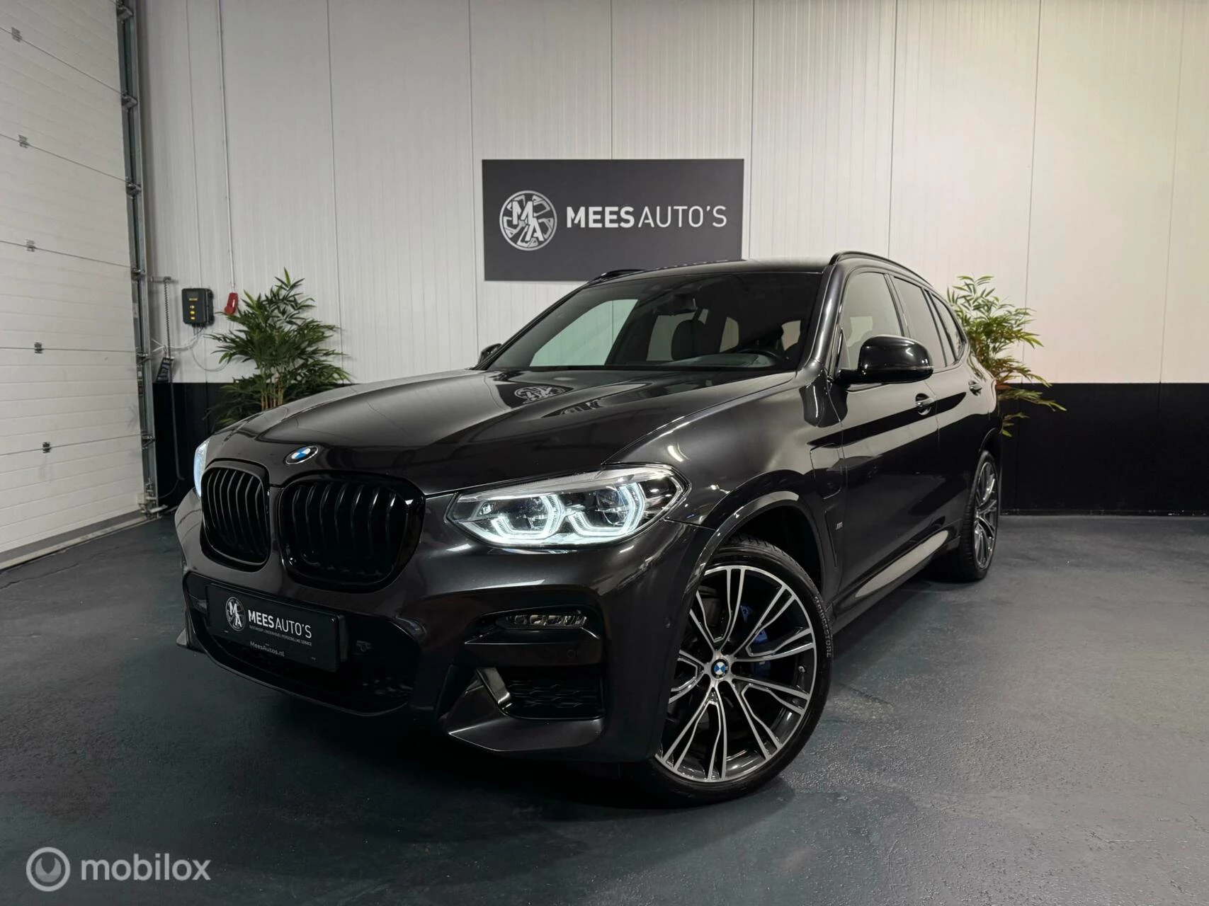 Hoofdafbeelding BMW X3