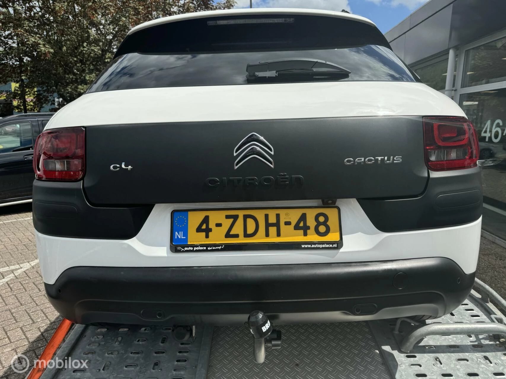 Hoofdafbeelding Citroën C4 Cactus