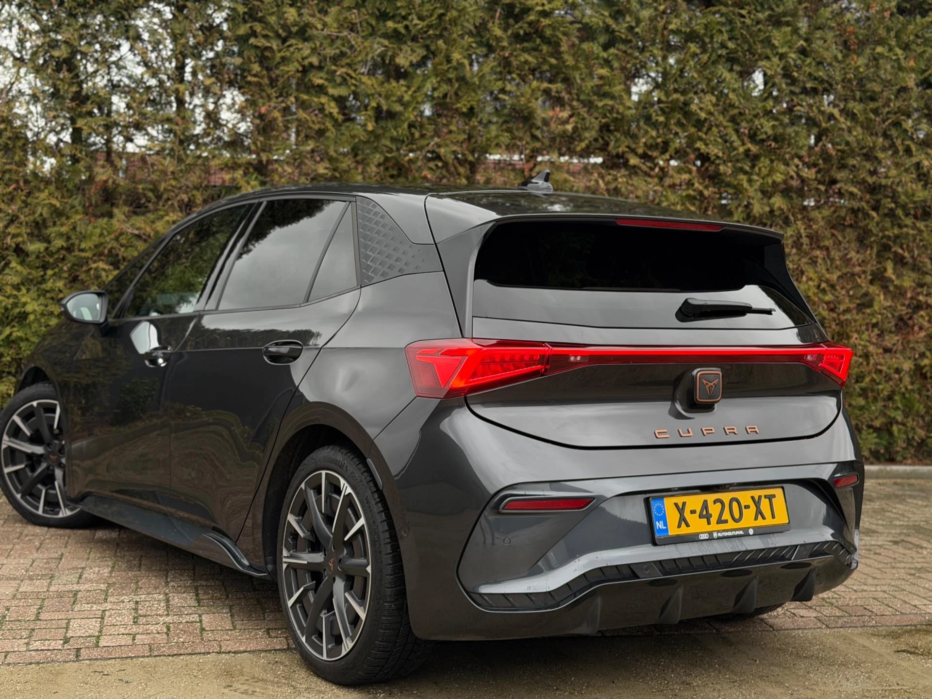 Hoofdafbeelding CUPRA Born