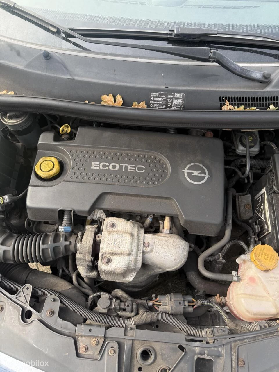 Hoofdafbeelding Opel Corsa