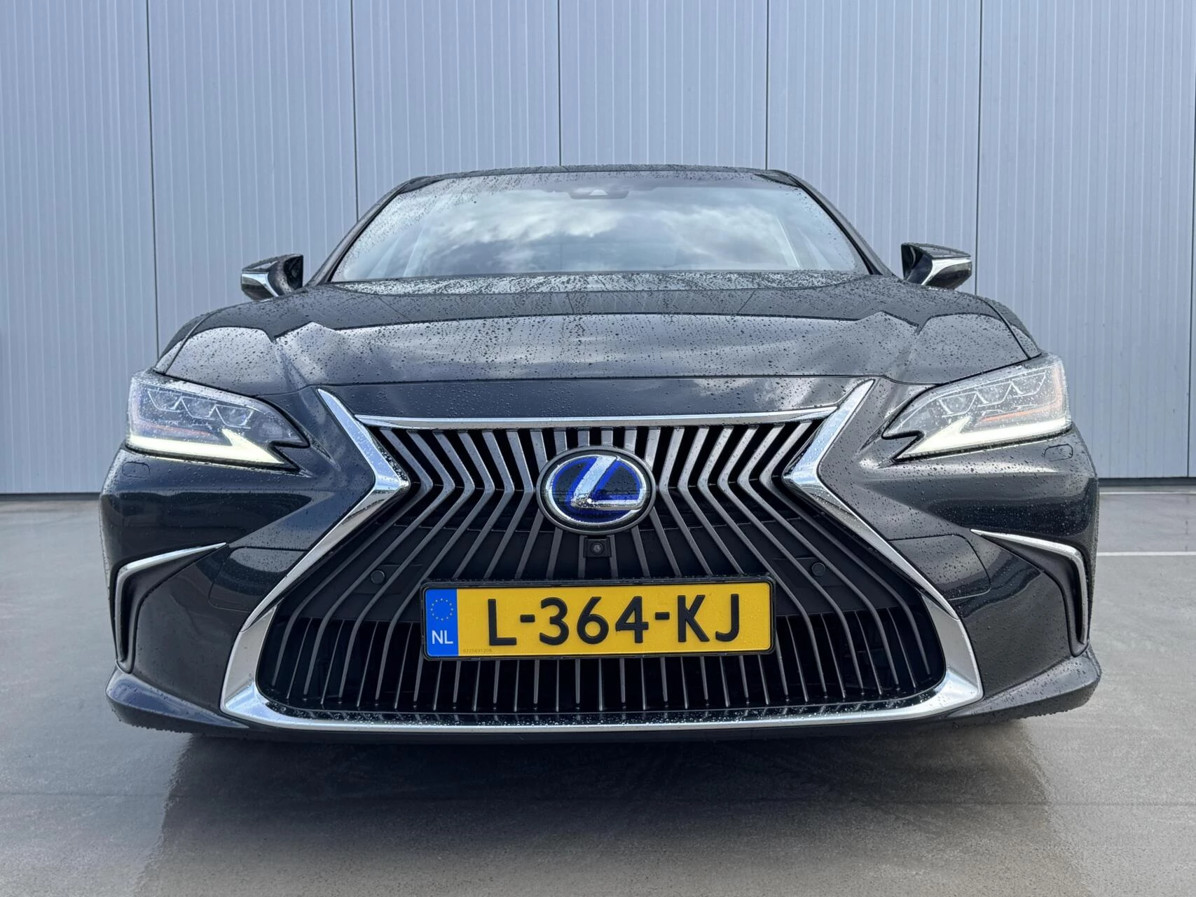 Hoofdafbeelding Lexus ES