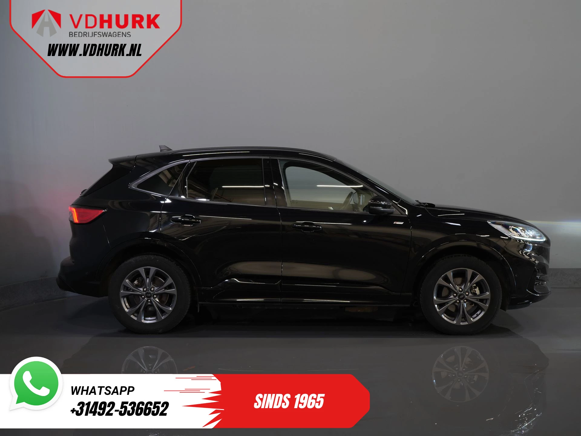Hoofdafbeelding Ford Kuga