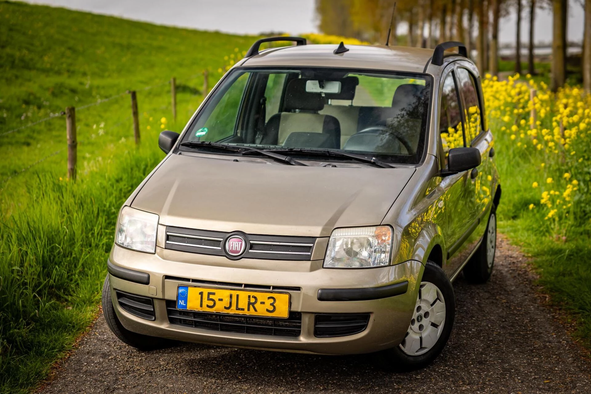 Hoofdafbeelding Fiat Panda