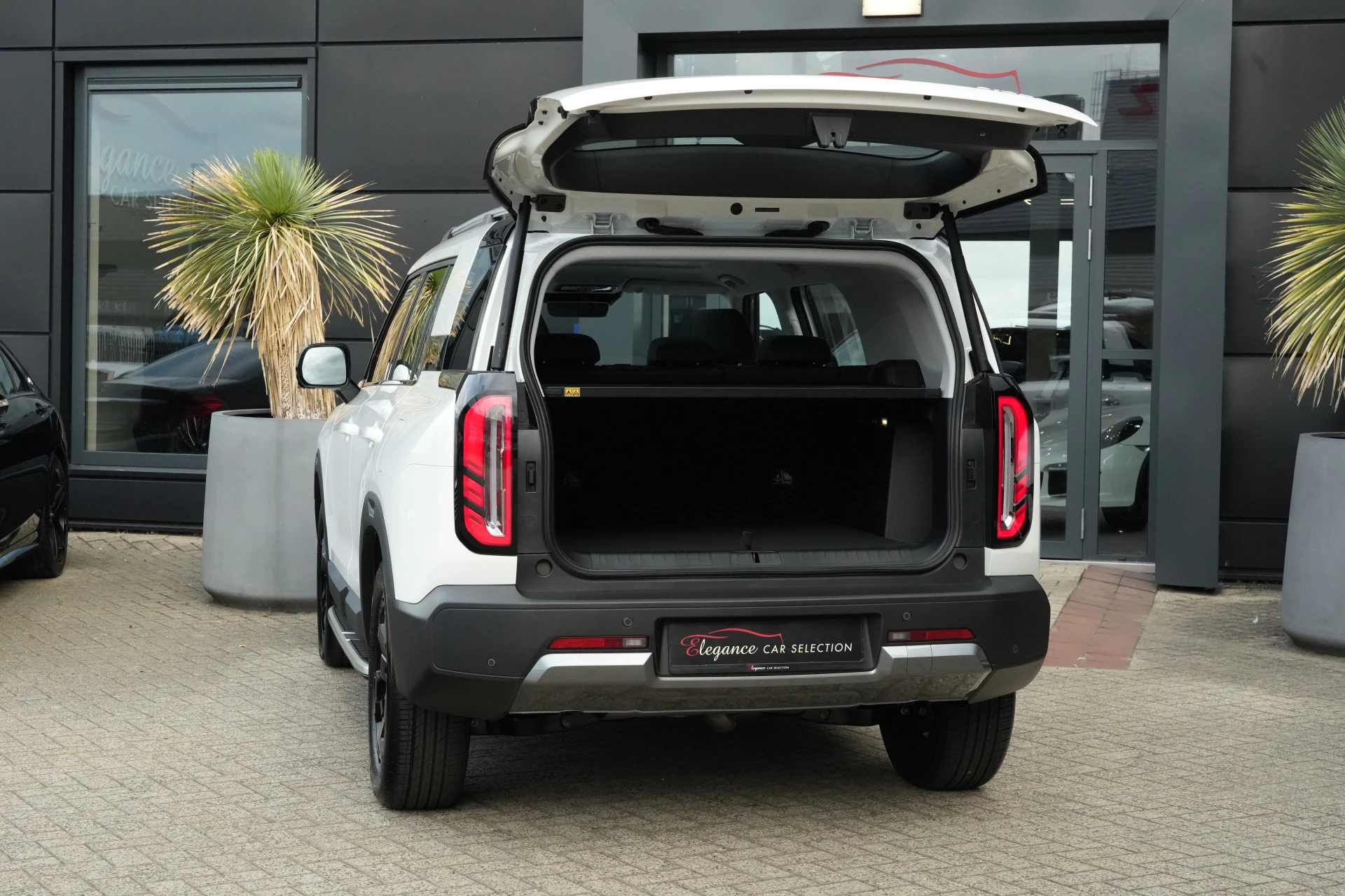 Hoofdafbeelding BAIC BJ30e
