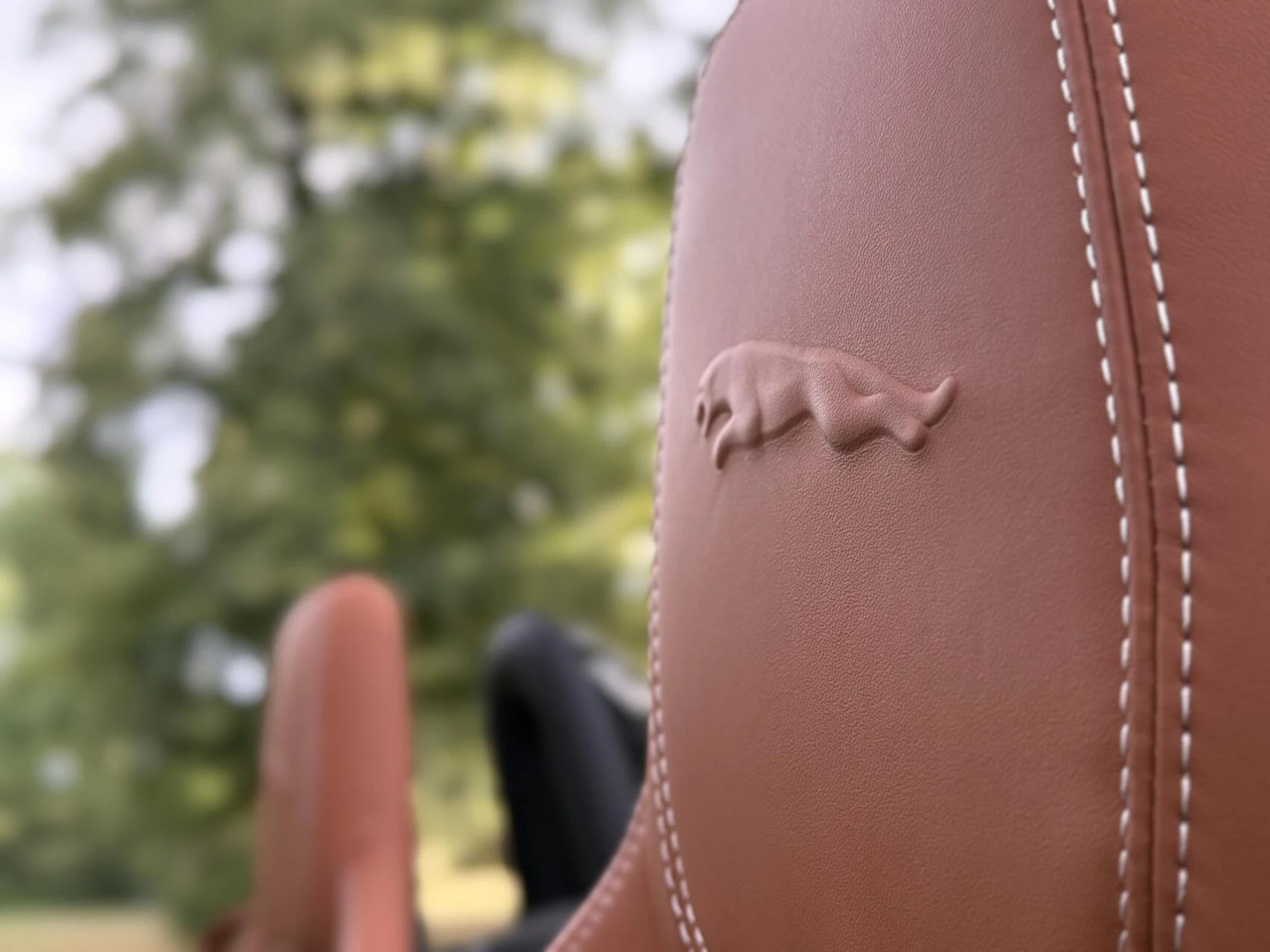 Hoofdafbeelding Jaguar F-Type