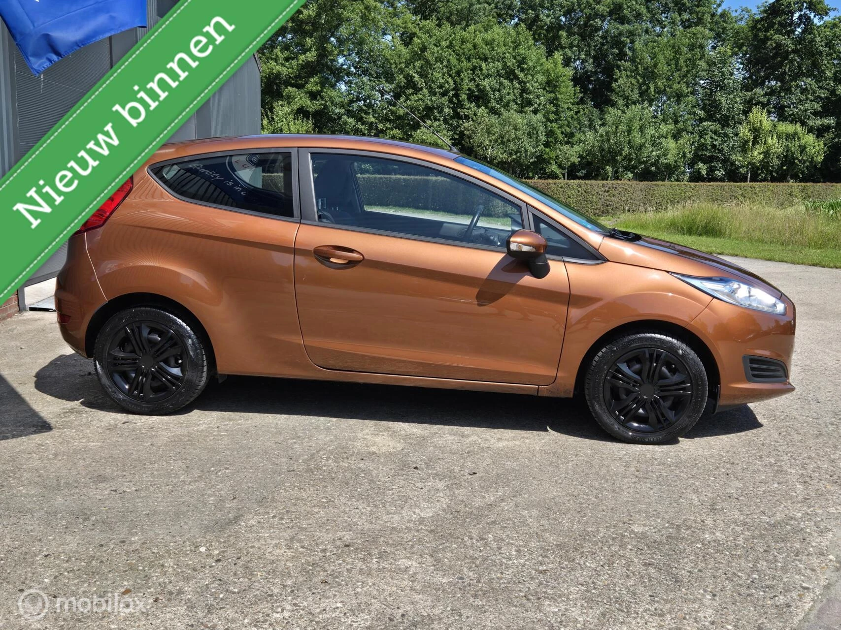 Hoofdafbeelding Ford Fiesta