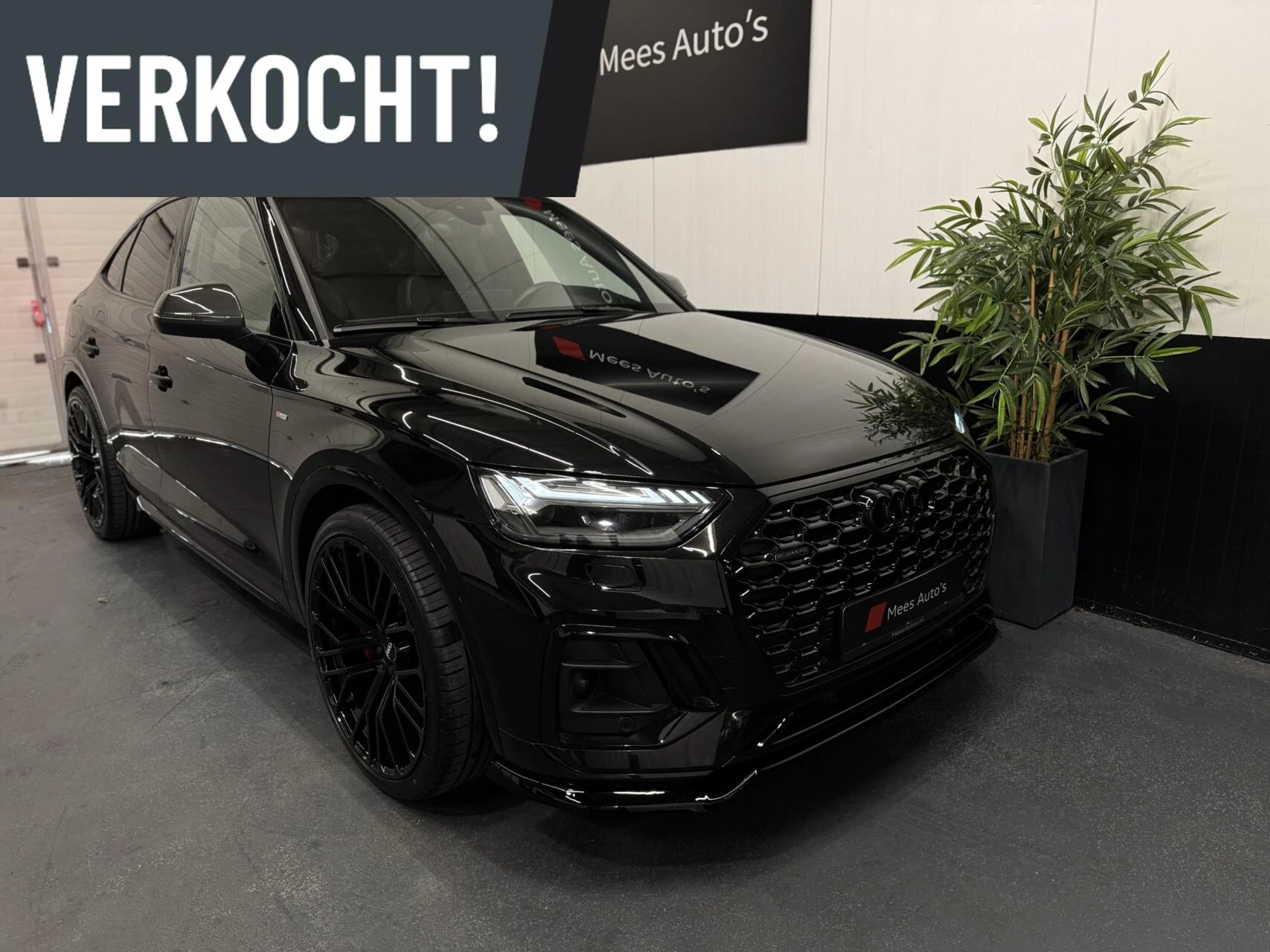 Hoofdafbeelding Audi Q5