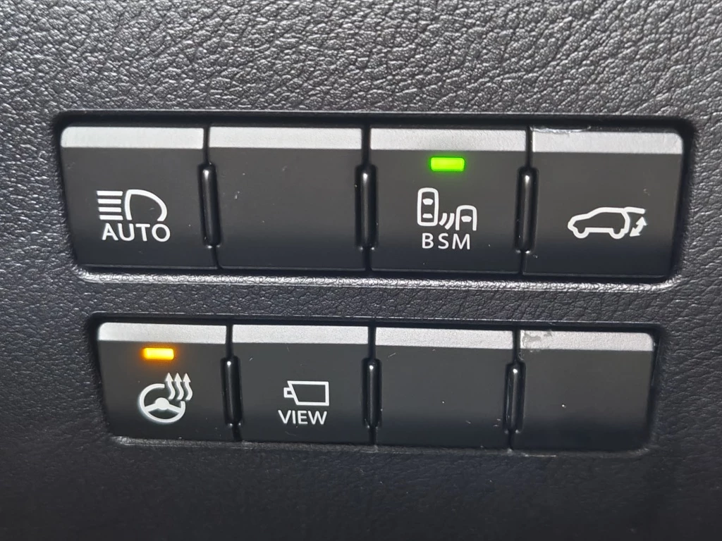 Hoofdafbeelding Lexus NX