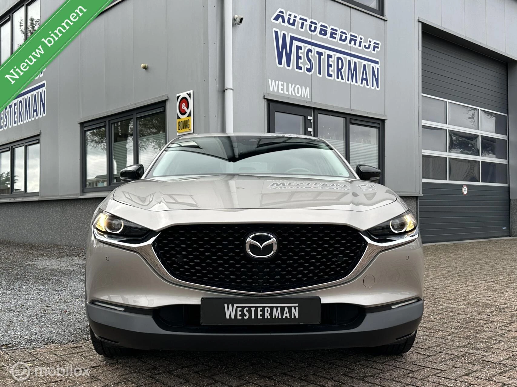 Hoofdafbeelding Mazda CX-30