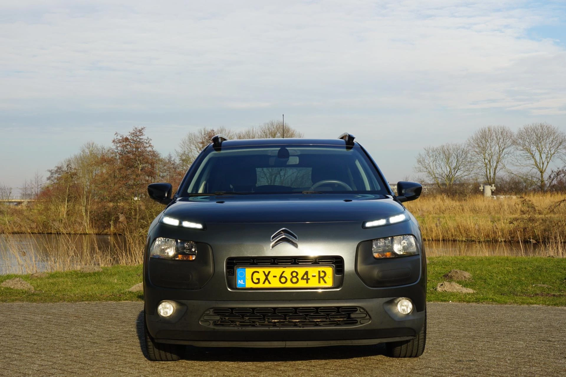 Hoofdafbeelding Citroën C4 Cactus