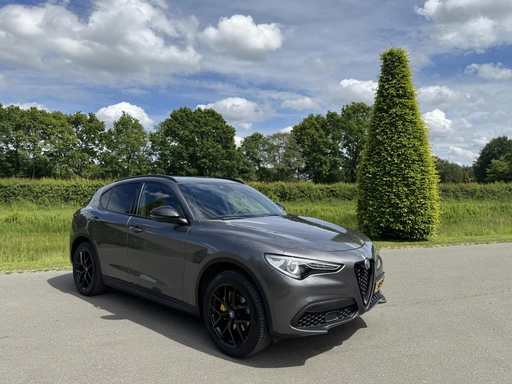 Hoofdafbeelding Alfa Romeo Stelvio