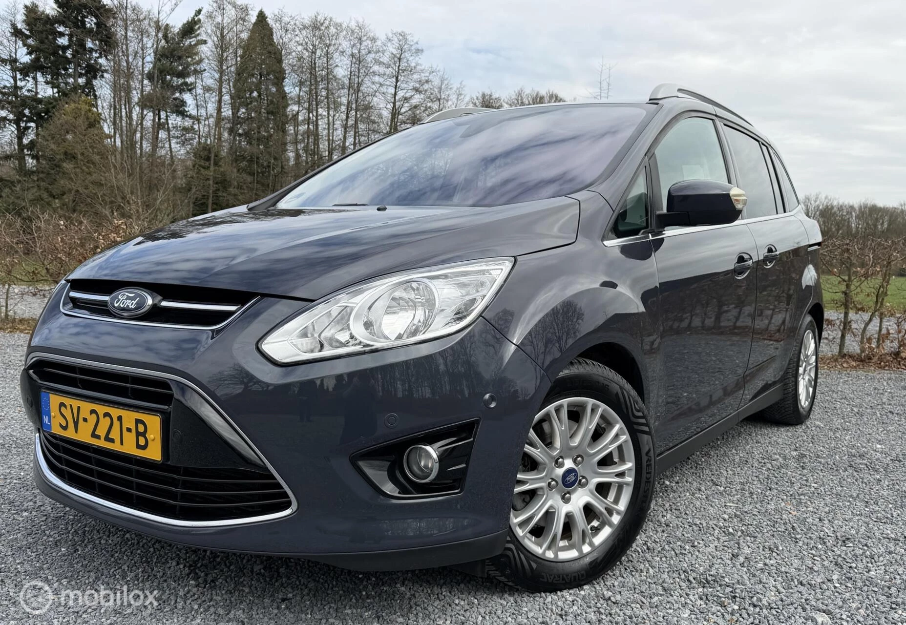 Hoofdafbeelding Ford Grand C-Max