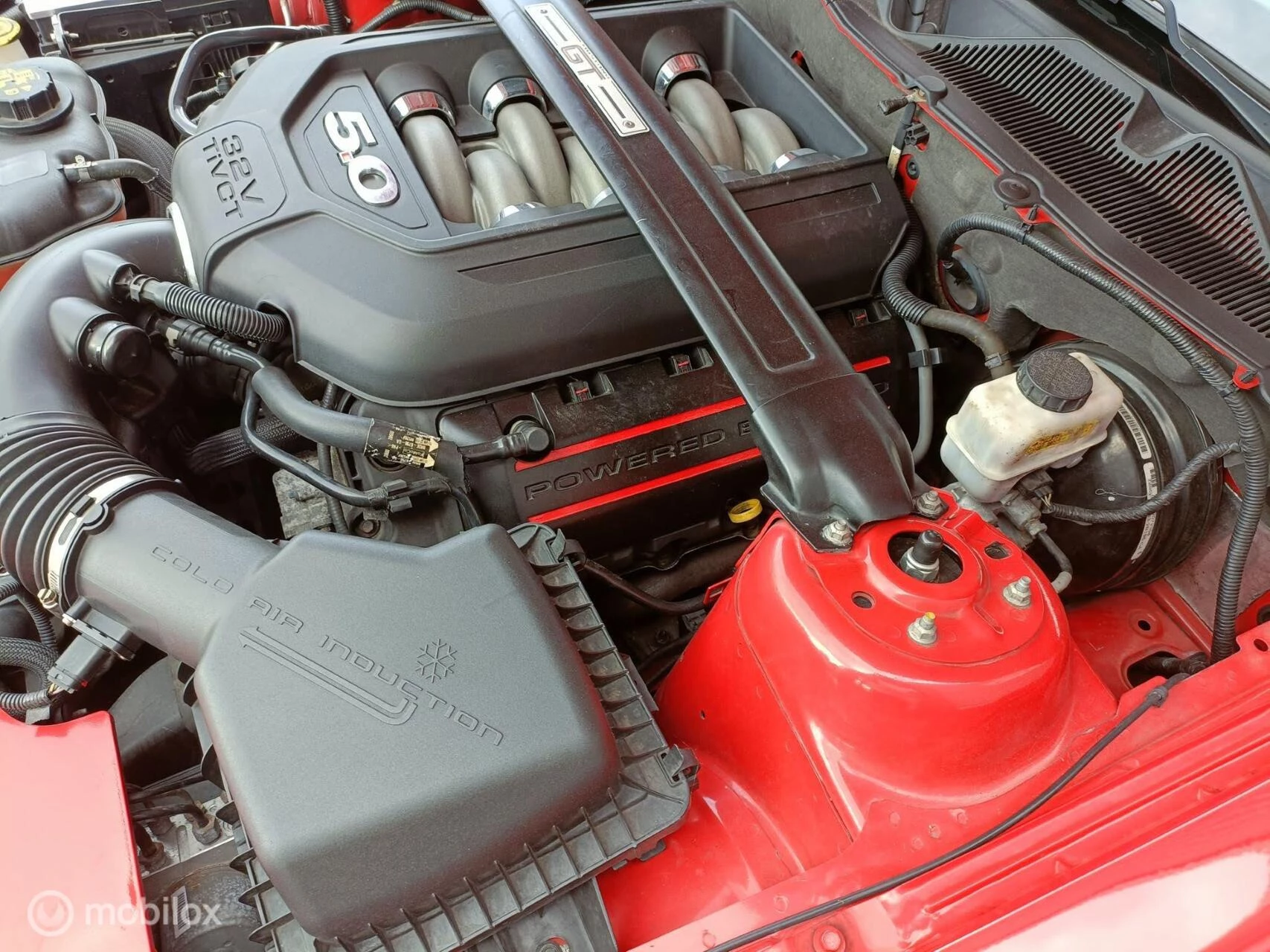 Hoofdafbeelding Ford Mustang