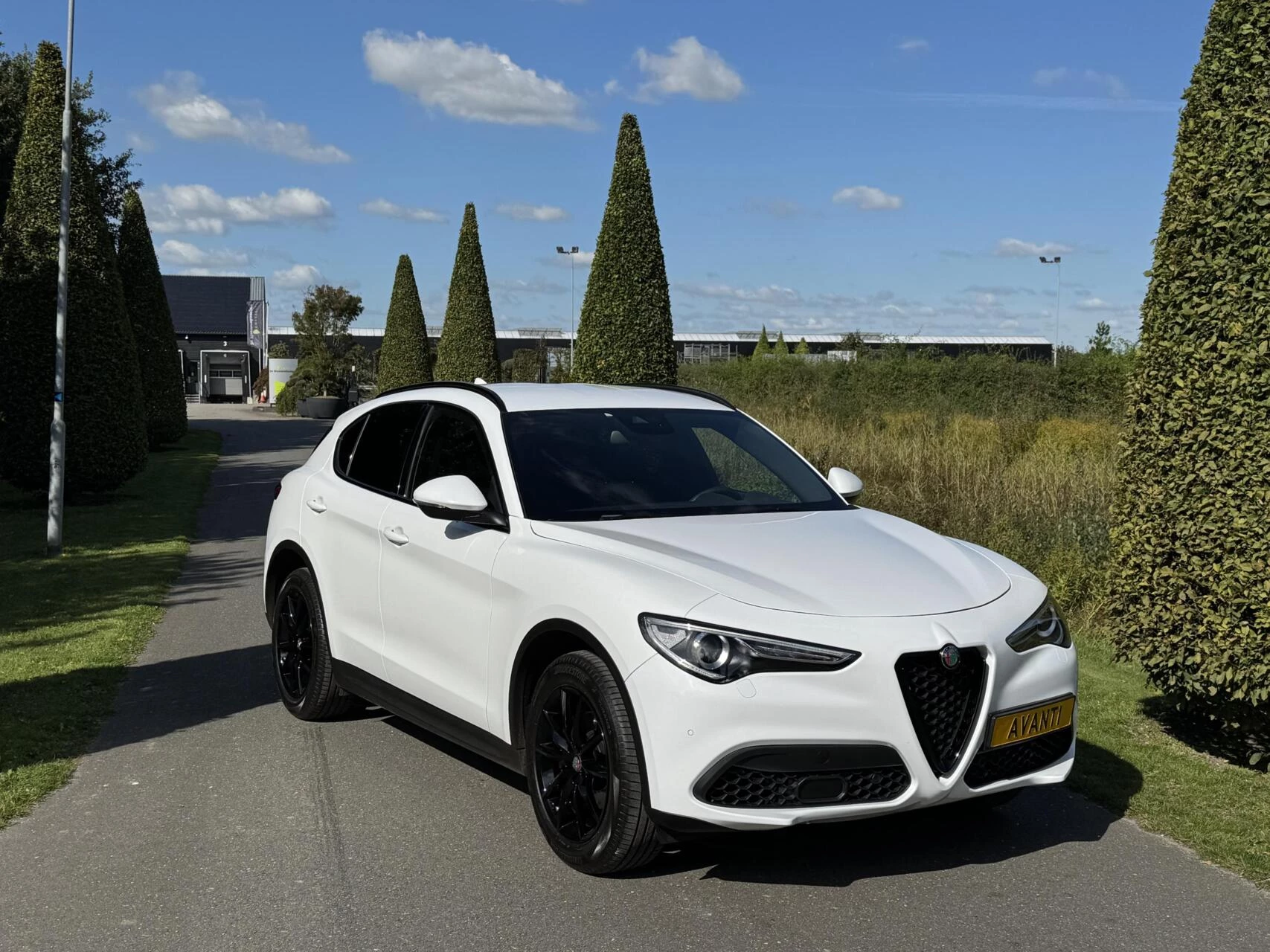 Hoofdafbeelding Alfa Romeo Stelvio