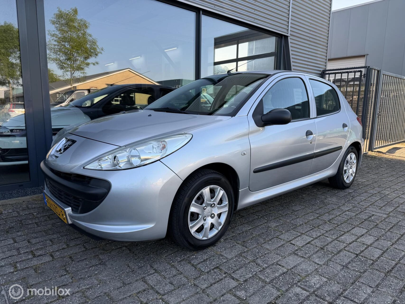Hoofdafbeelding Peugeot 206