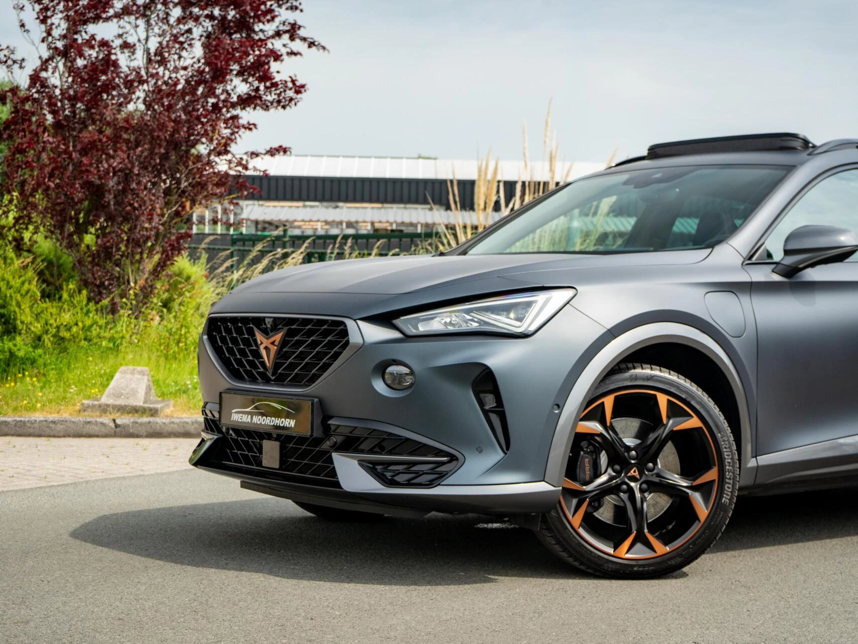 Hoofdafbeelding CUPRA Formentor
