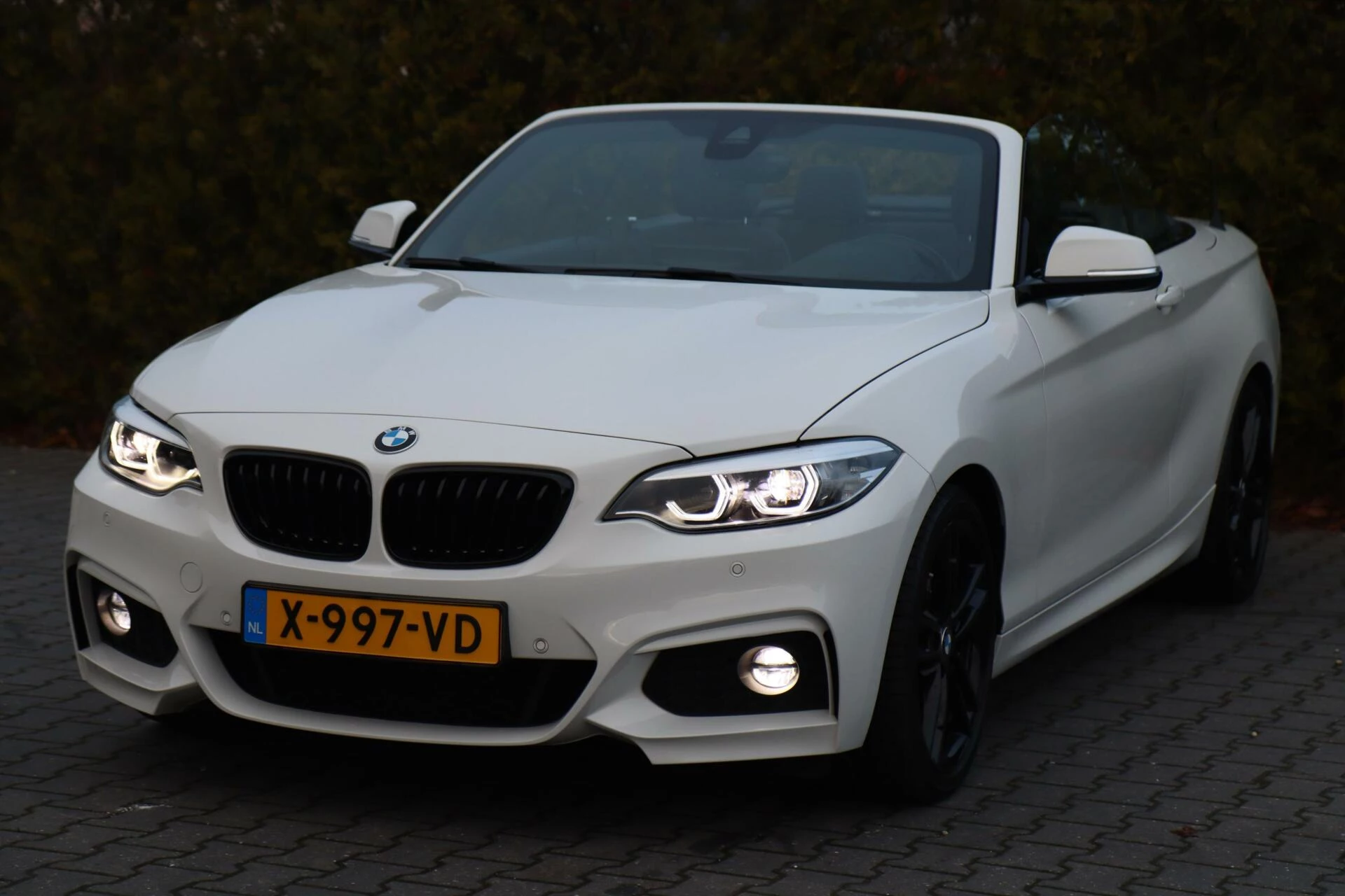 Hoofdafbeelding BMW 2 Serie