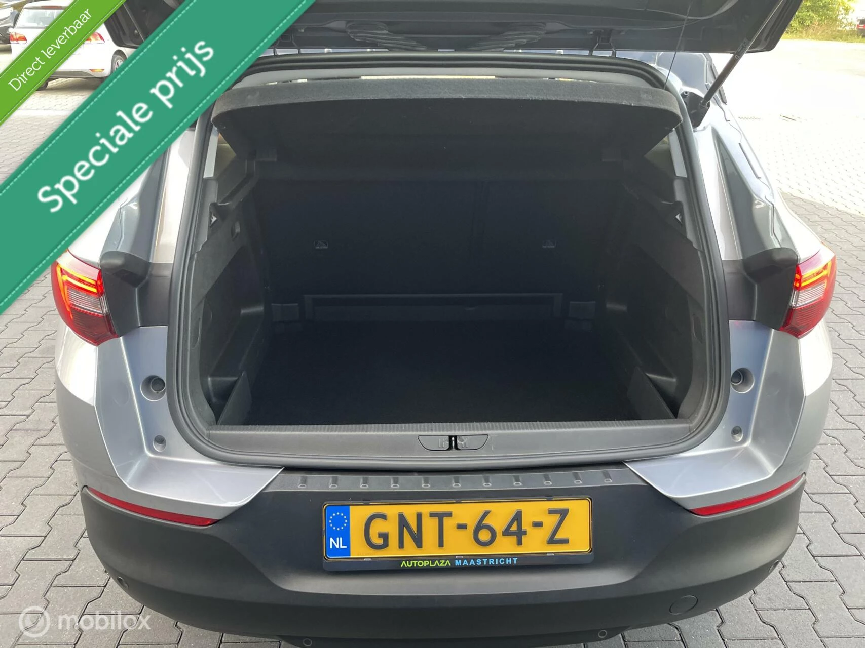 Hoofdafbeelding Opel Grandland X