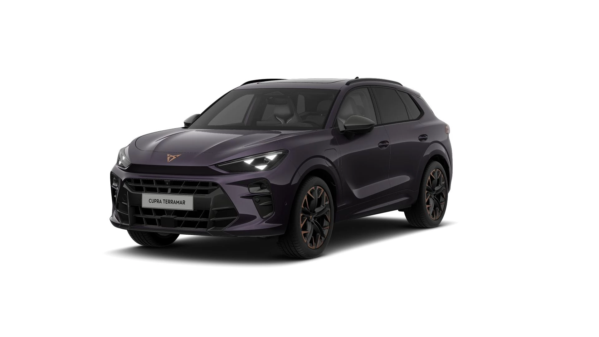 Hoofdafbeelding CUPRA Terramar