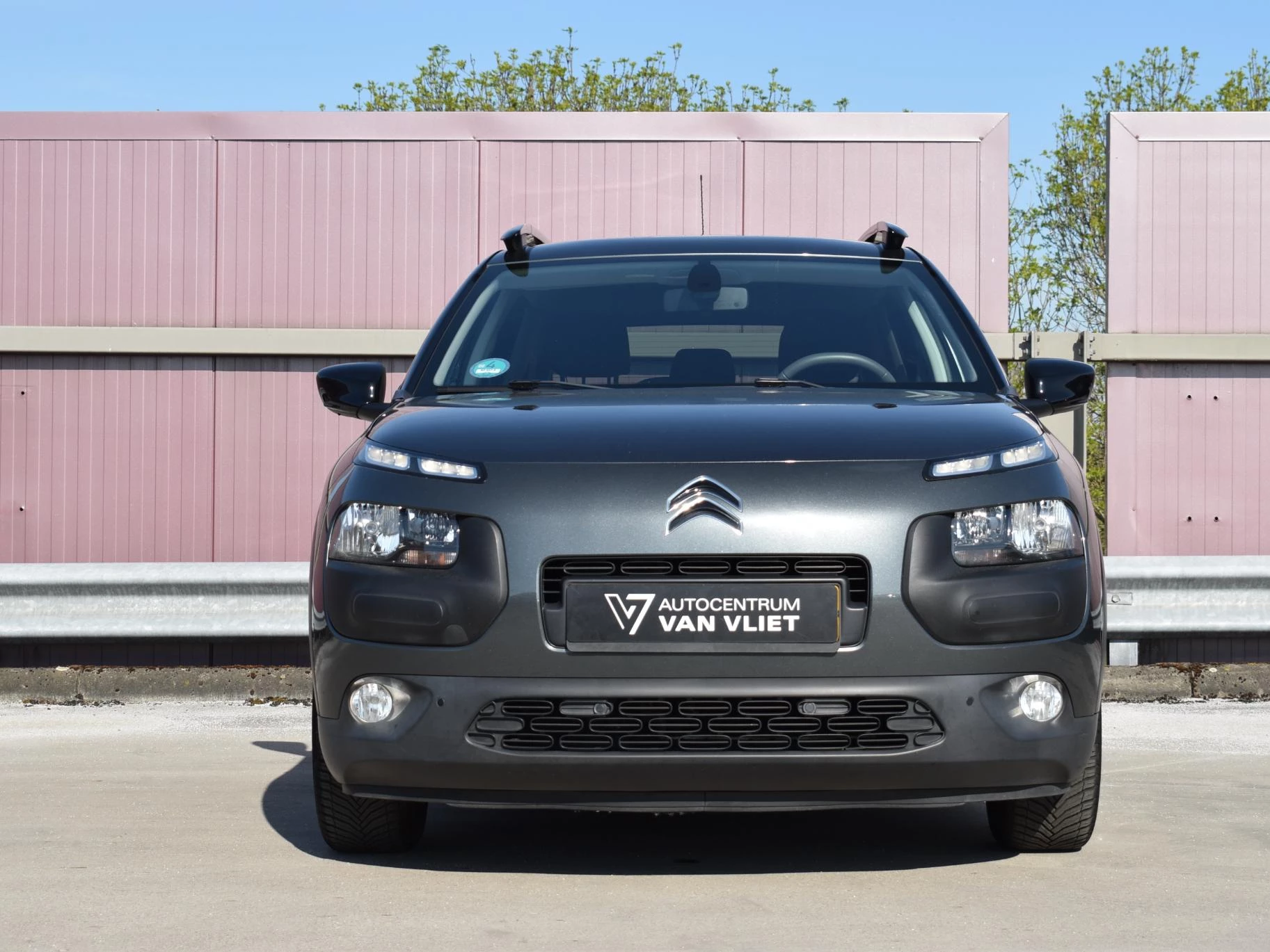 Hoofdafbeelding Citroën C4 Cactus