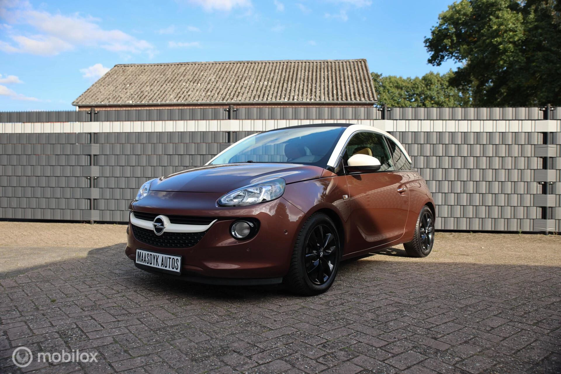 Hoofdafbeelding Opel ADAM